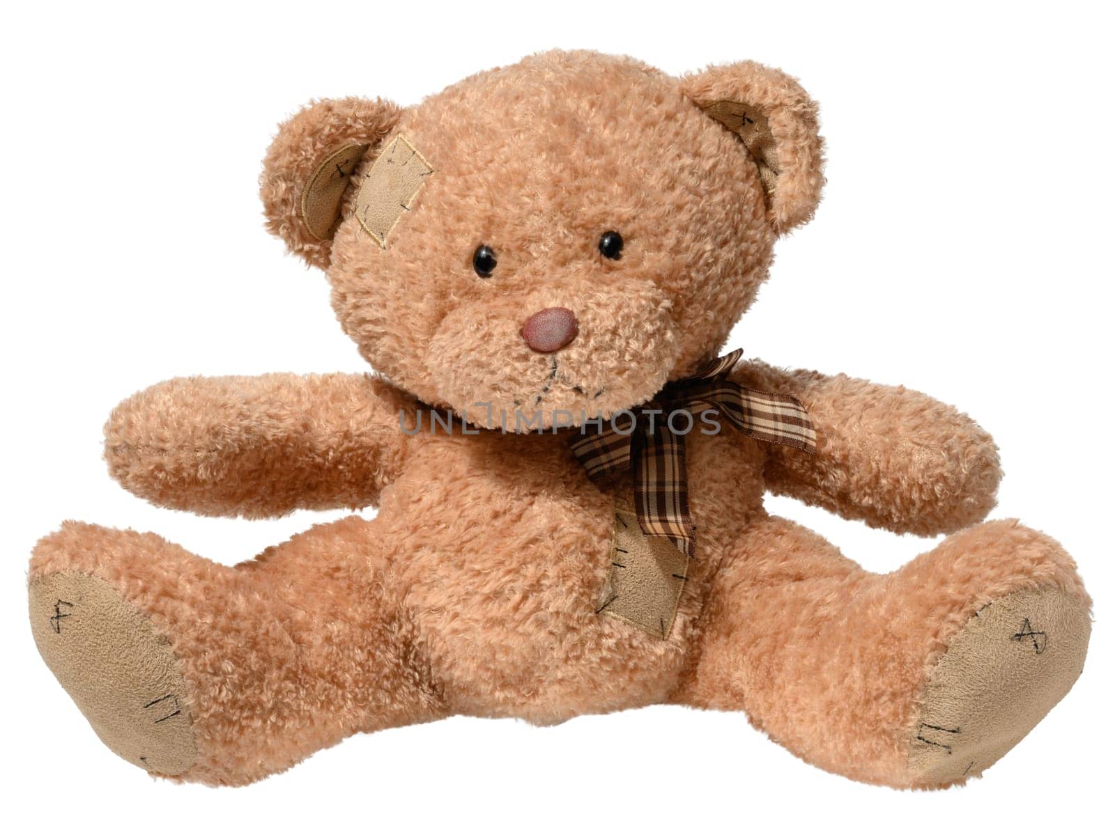 Brown teddy bear sitting on isolated background, children's toy