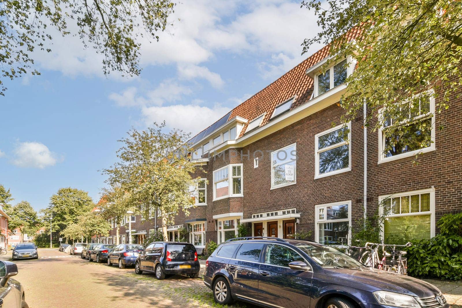 A picturesque view of a residential street lined with trees and modern architecture, showcasing a blend of nature and urban life.
