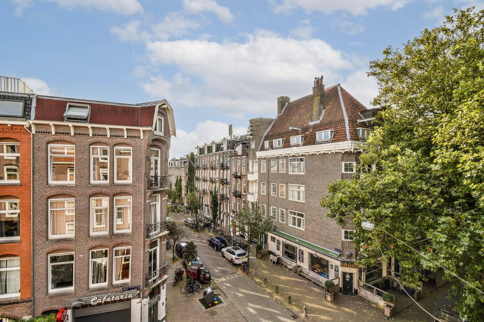 A vibrant view of a street in Amsterdam showcasing historical architecture, lush greenery, and a lively atmosphere. Ideal for travel enthusiasts.