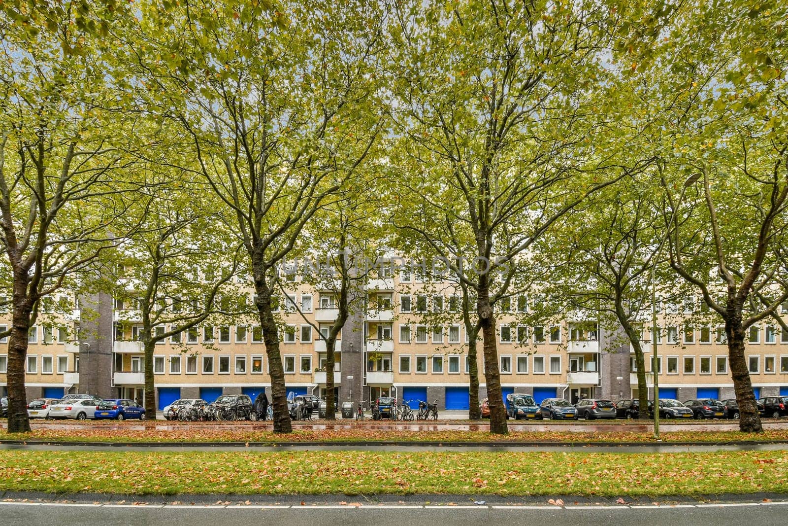 Lush green trees line a street in an urban environment, showcasing contemporary architecture and parked cars in a serene setting.
