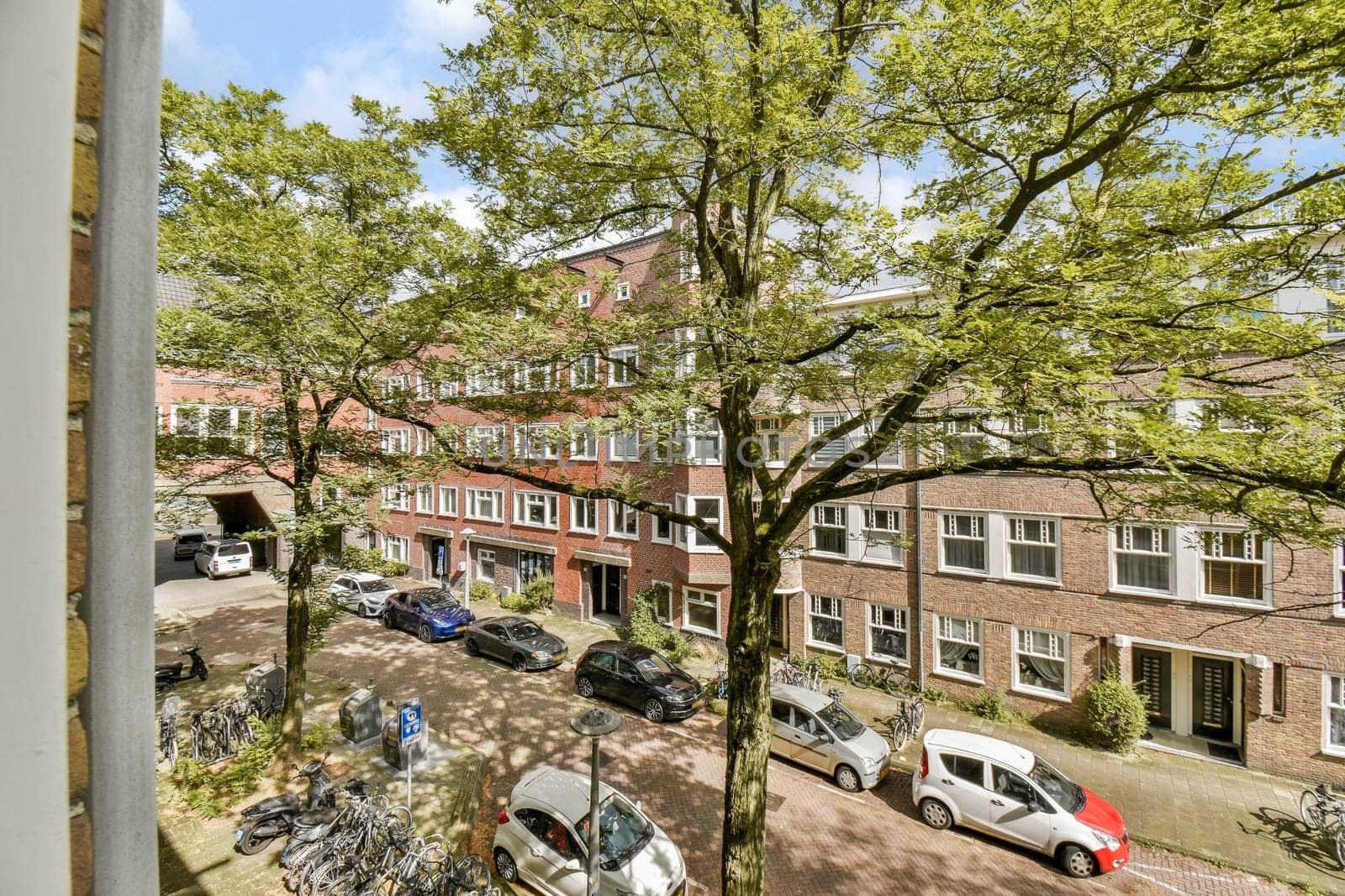 A vibrant urban scene showcasing trees, parked vehicles, and residential buildings, highlighting the blend of nature and city life.