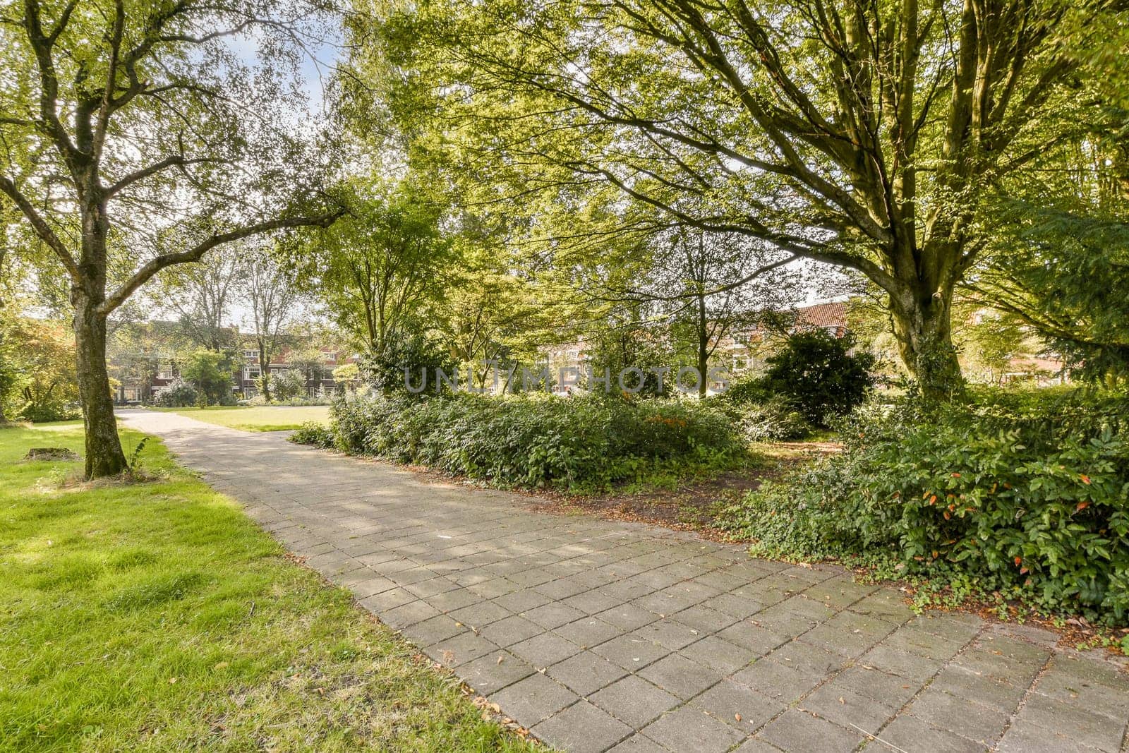 A beautiful park pathway gently winds through vibrant green trees and bushes, creating a tranquil outdoor setting ideal for relaxation and nature appreciation.