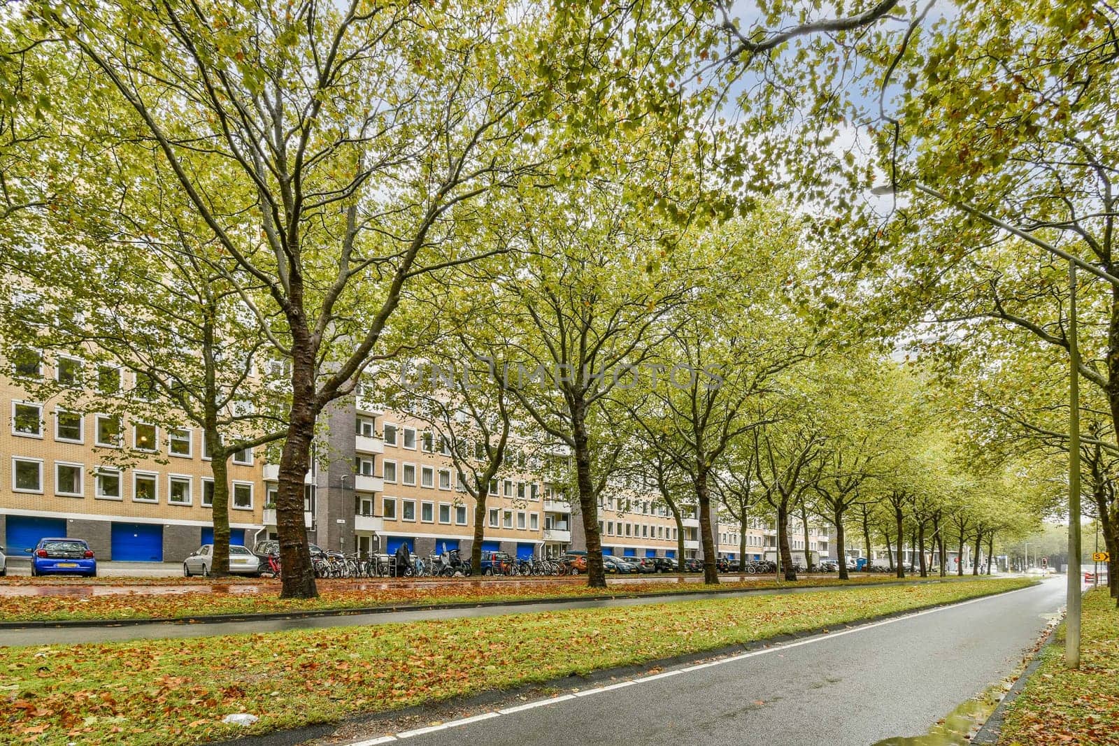 A picturesque street flanked by trees, featuring modern buildings and a clear sky. The scene captures urban life harmoniously paired with nature.