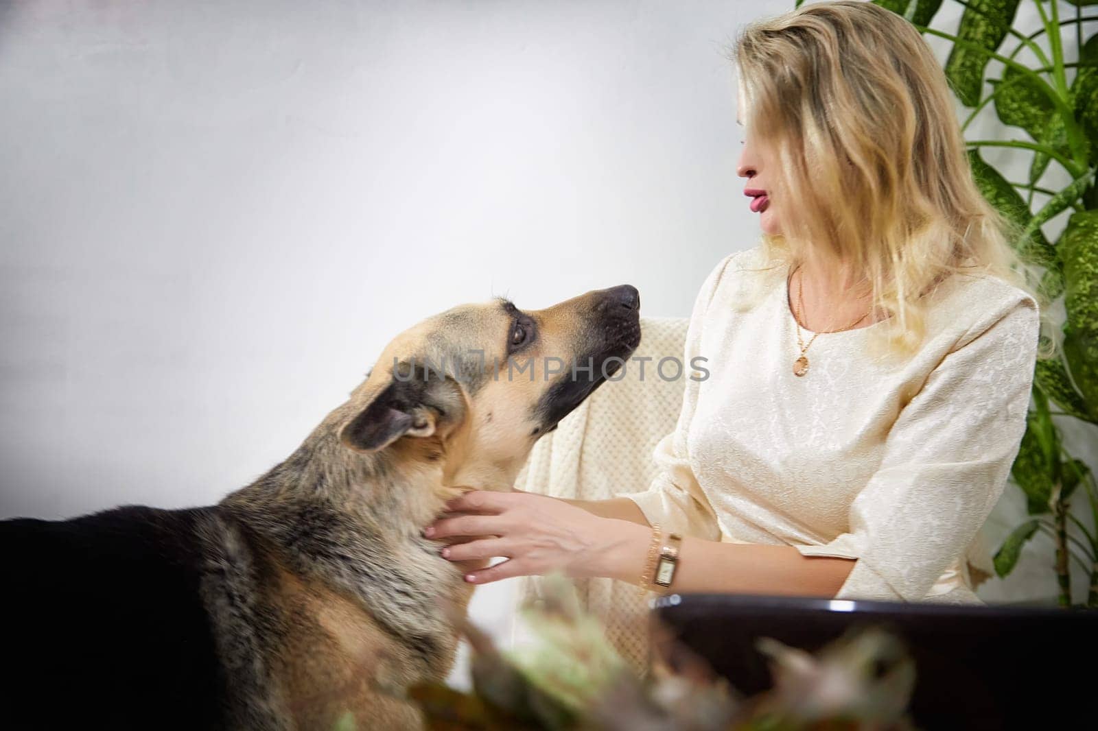 A middle-aged blonde blogger enjoys a joyful photo shoot at home with her loyal german shepherd by her side.