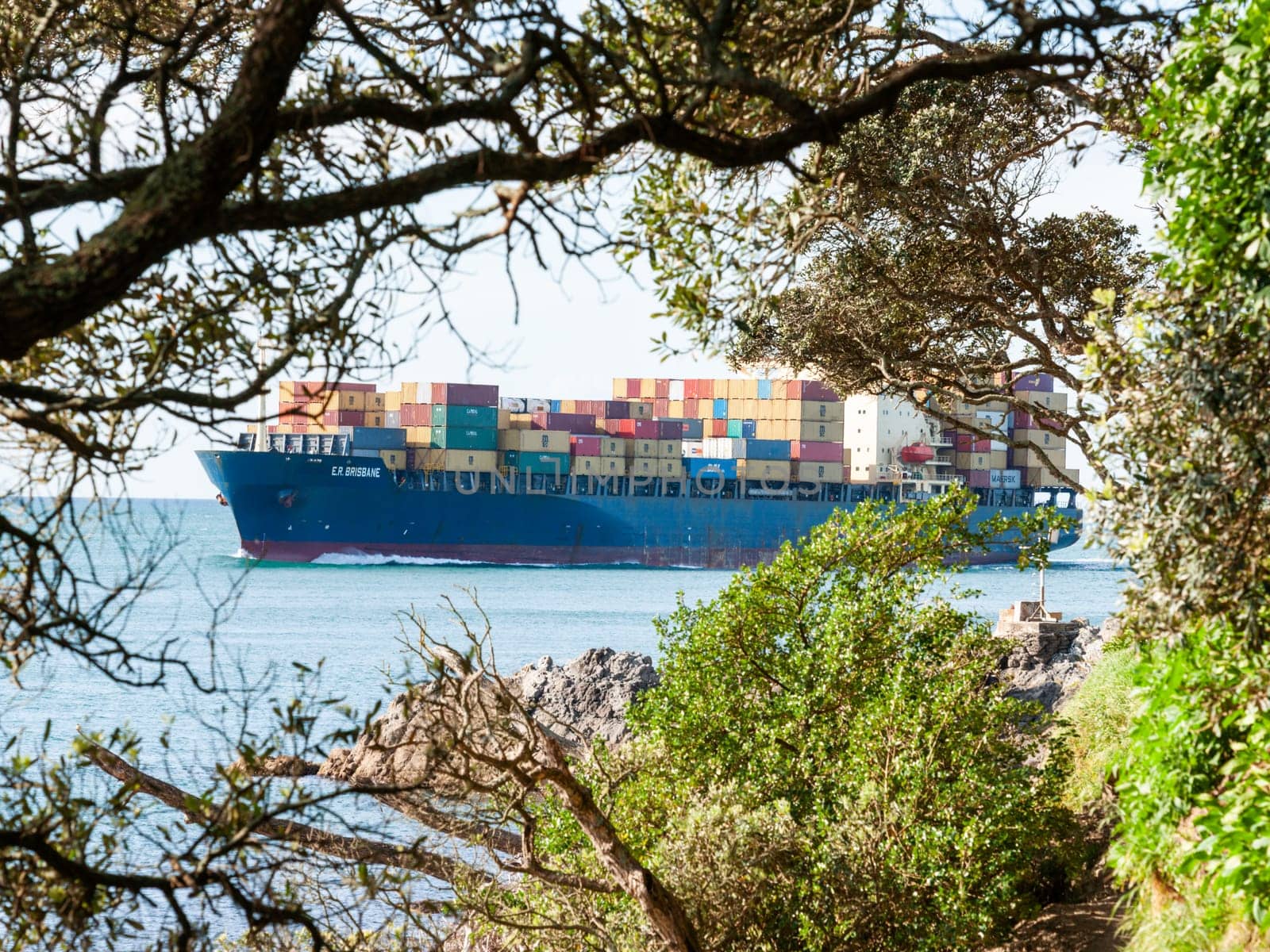 Mount Maunganui New Zealand - November 5 2012; Container ship loaded entering harbour entrance framed by pohutukawa tree foliage from Base Track around Mount.