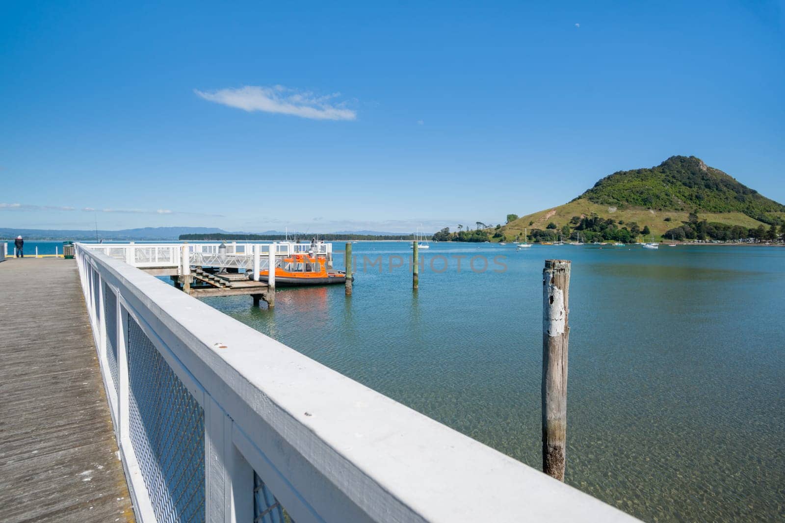Dog asleep on pier of Salisbury Wharf at one end of Pilot Bay Mount Maunganui