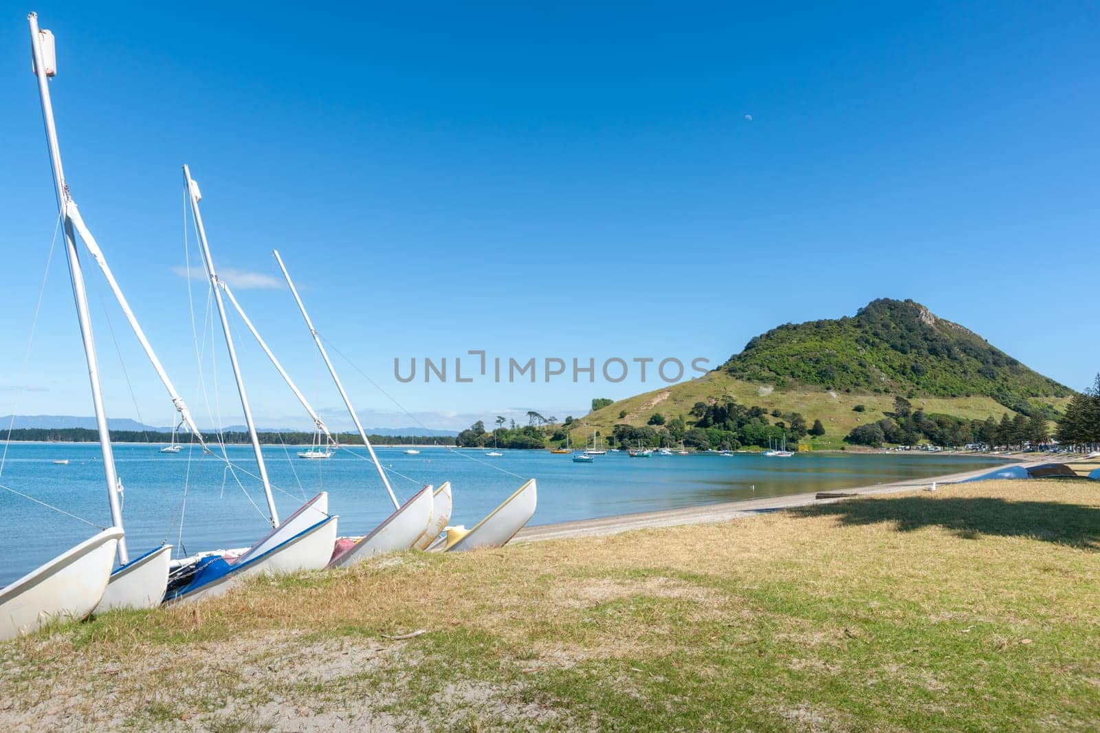 Boats on beach at Pilot Bay Mount Maunganui