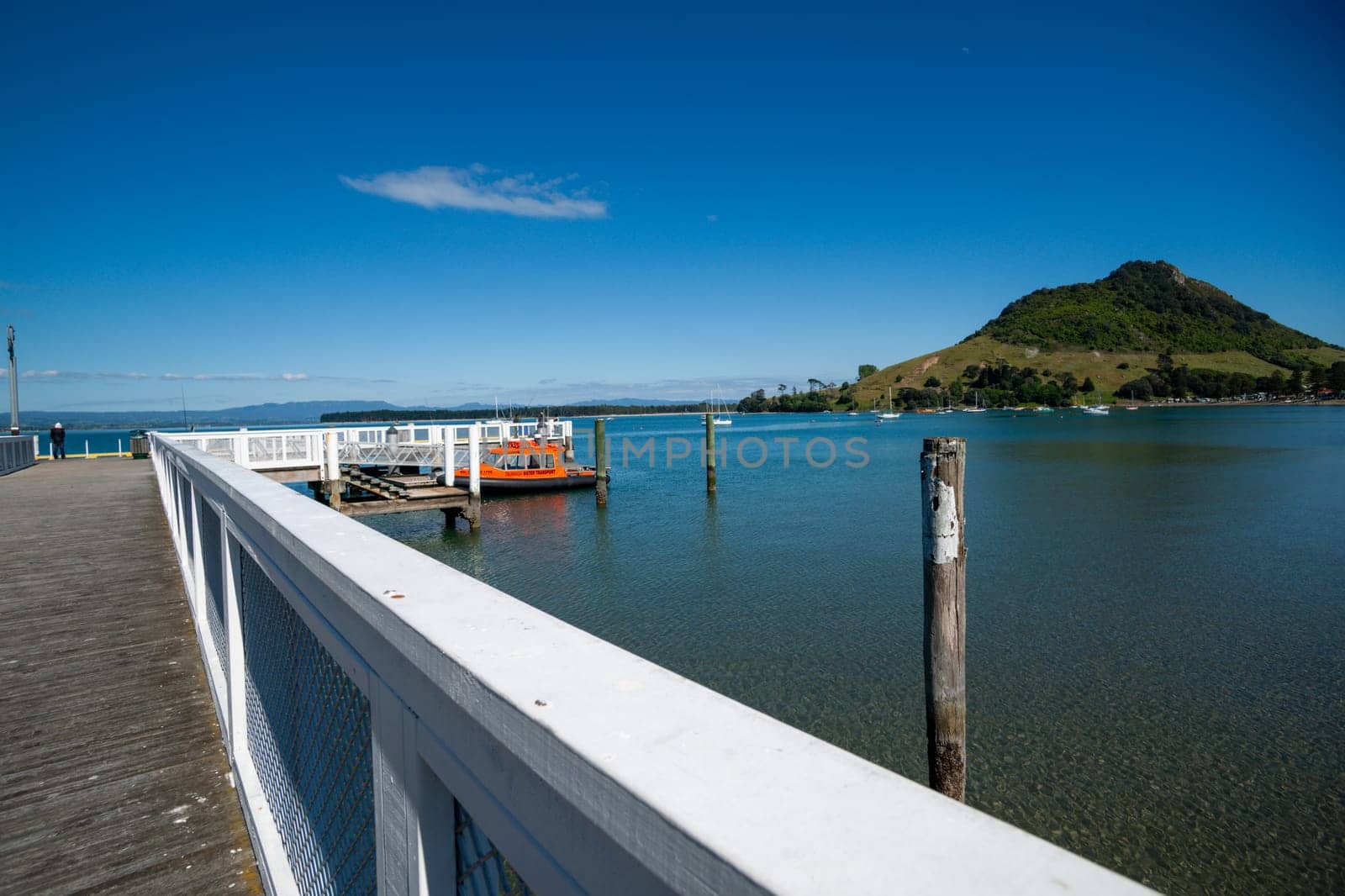 Dog asleep on pier of Salisbury Wharf at one end of Pilot Bay Mount Maunganui