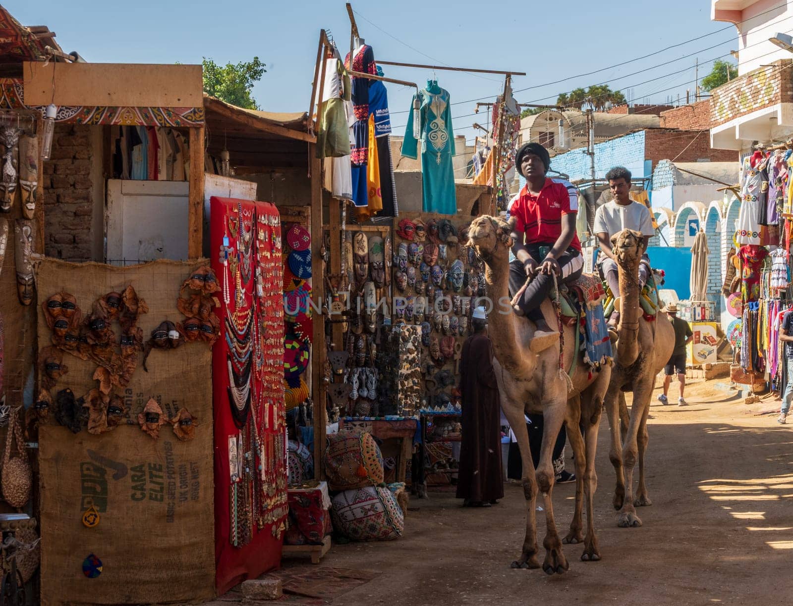 Aswan, Egypt - 5 November 2024: Traditional street market in Nubian Village with locals riding camels along the street