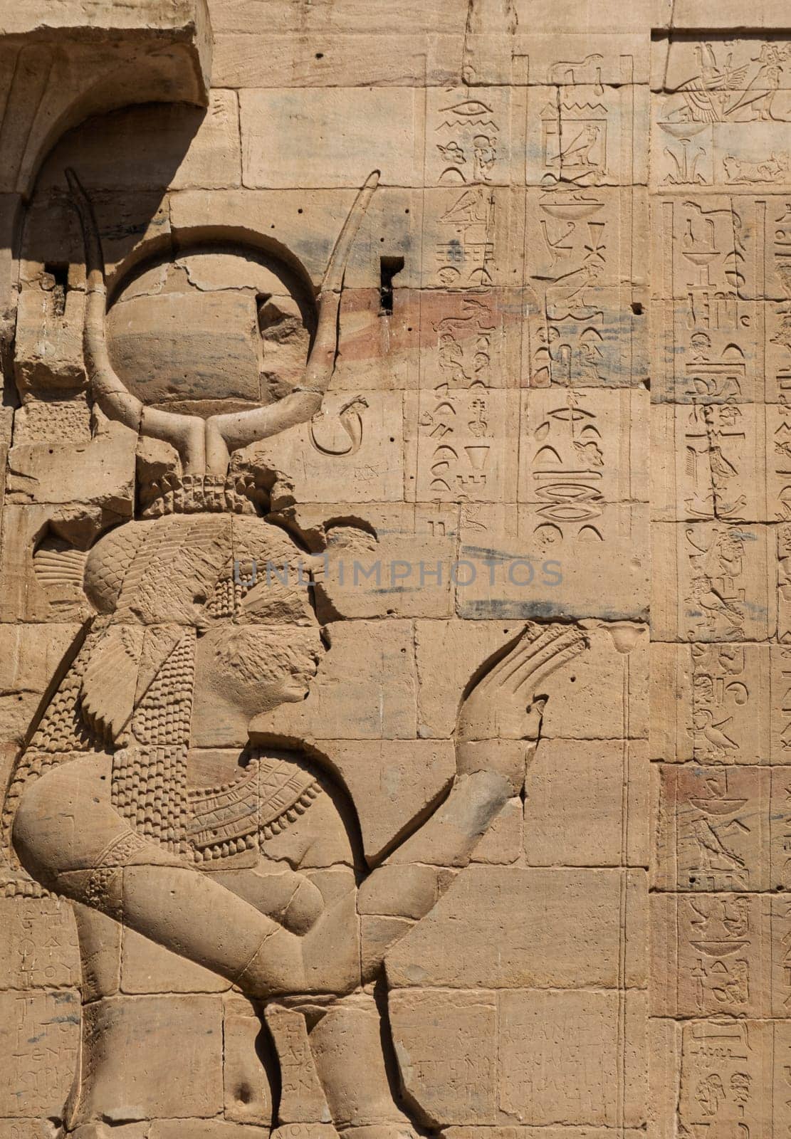 Detail of the bas-relief carving of the goddess Isis in the reconstructed Philae Temple in Aswan Harbor or Reservoir in Egypt