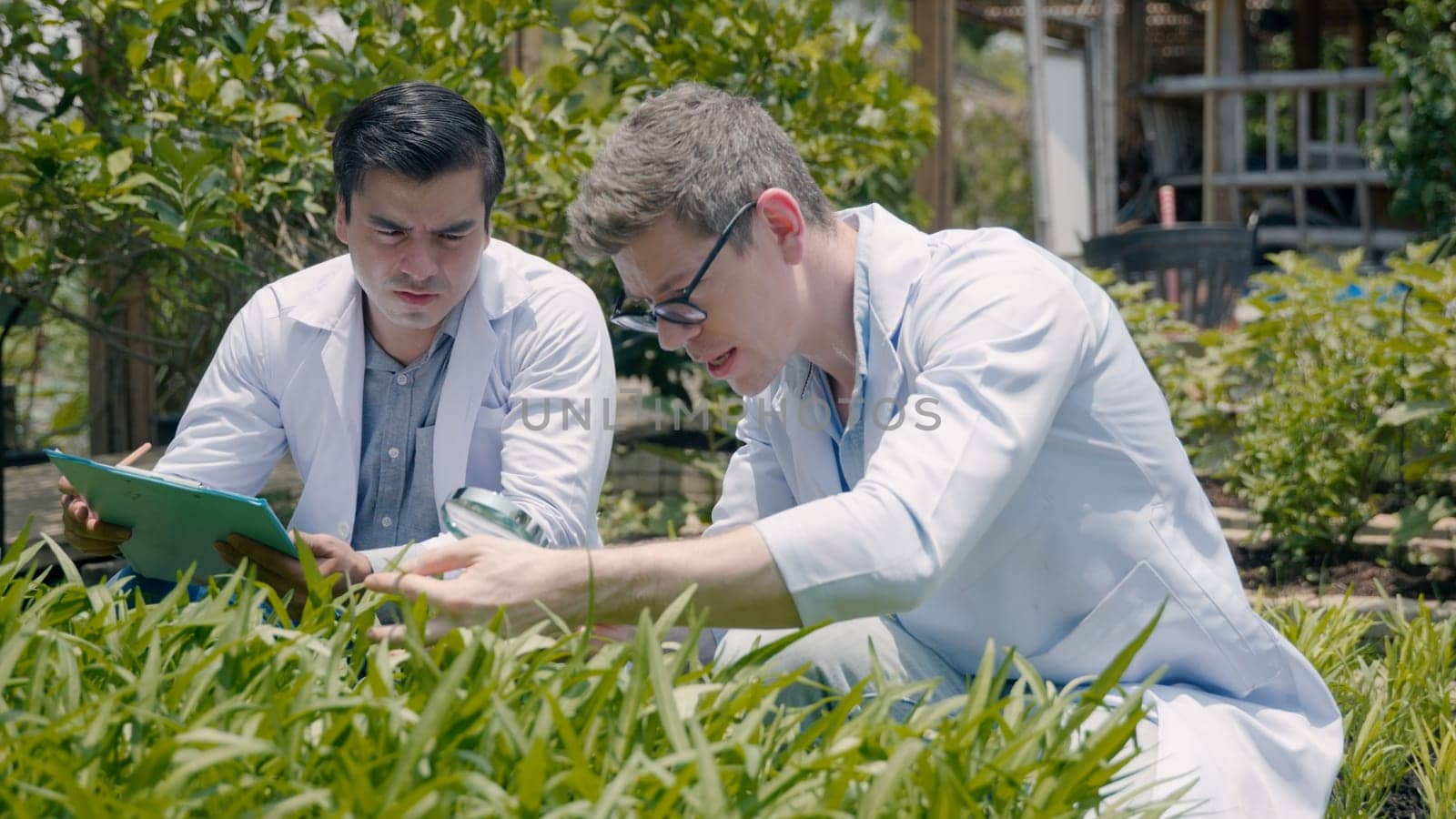 Two Biotechnology man engineer holding magnifying glass and looking at the vegetables leaf in hydroponics farm for disease, Professional researcher agriculture scientist take note in clipboard
