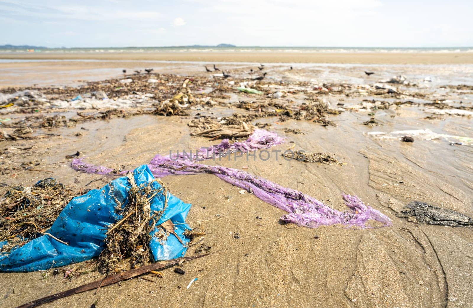 Polluted beach landscape showing discarded plastic waste and garbage scattered across coastal sand, environmental impact revealing marine ecosystem threat during tourist season, conservation awareness