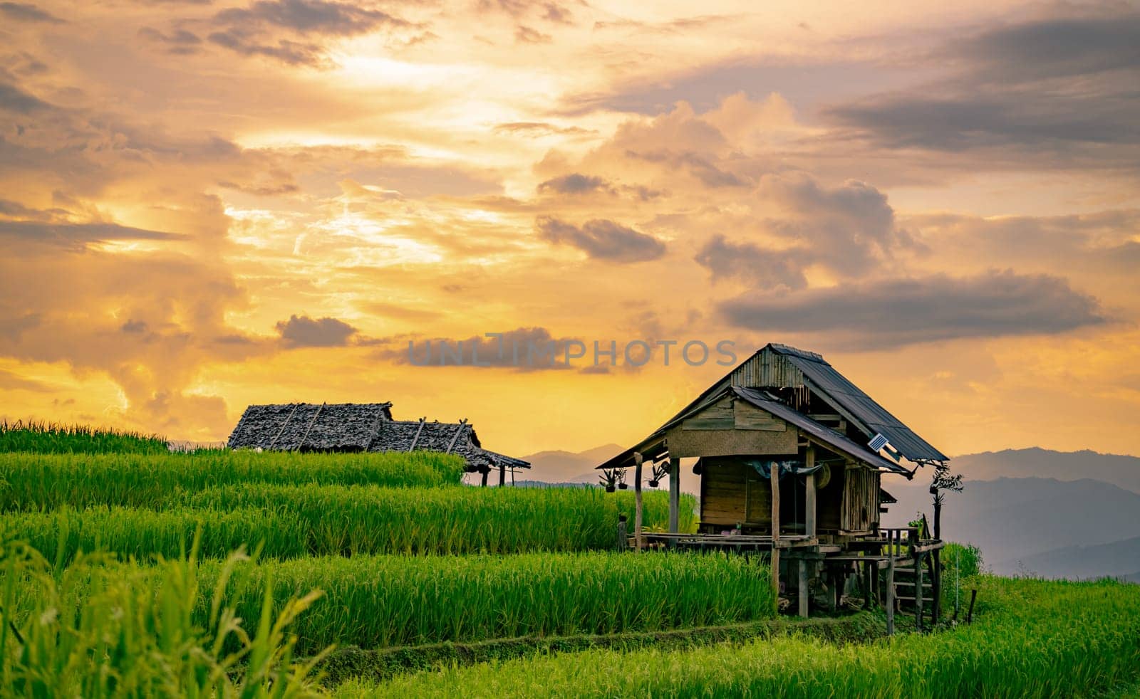 Rural home with thatched roof surrounded by rice fields and mountains at dusk. Eco friendly sustainable life in tranquil Asian farming landscape. Sustainable eco living in Asian countryside landscape.