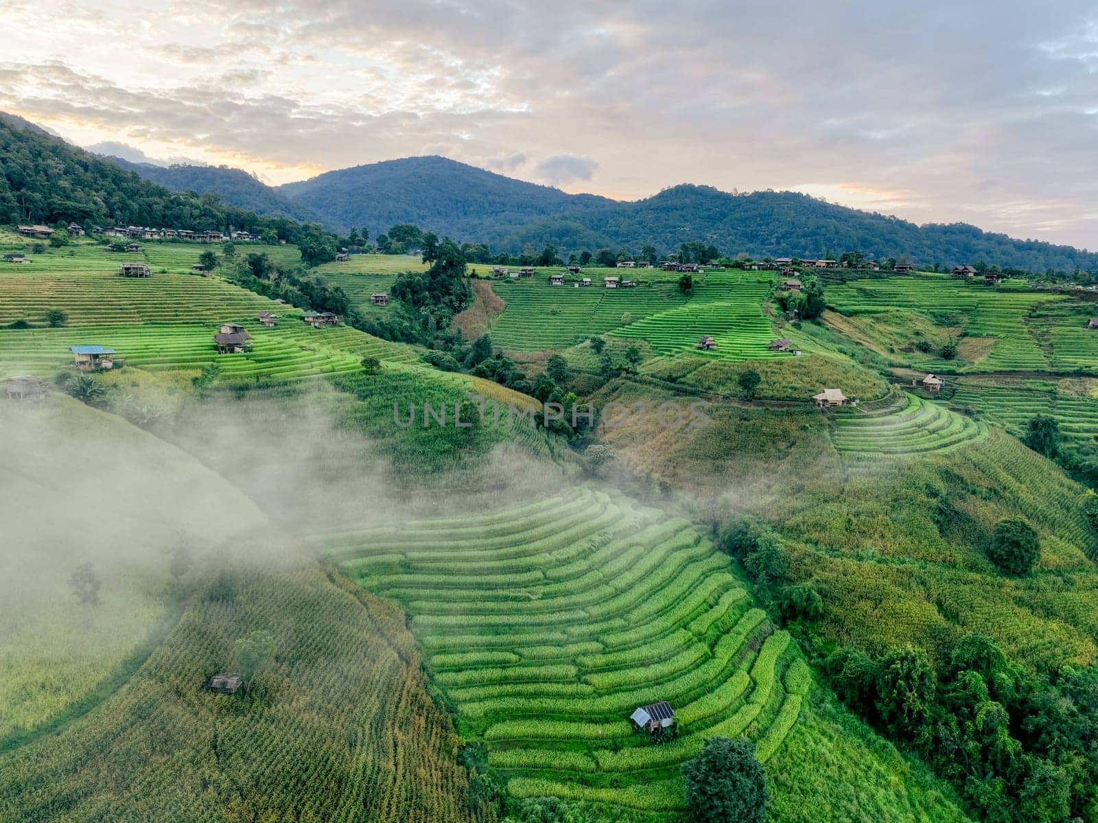 Aerial shot of foggy terraced rice fields and small wooden huts in northern Thailand captured during planting season, highlighting traditional farming, scenic landscape, and rural sustainability