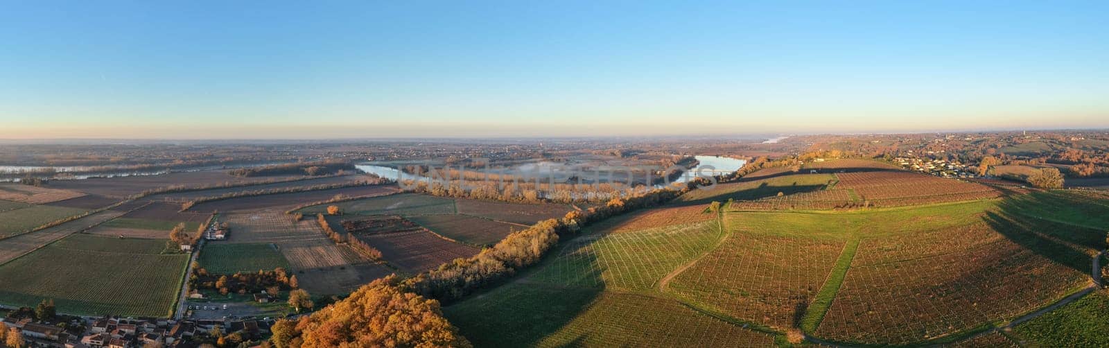 France, Gironde, Haut-Langoiran, Aerial view of the vineyard and wooded areas of Chateau de Langoiran in the Bordeaux vineyards at sunrise