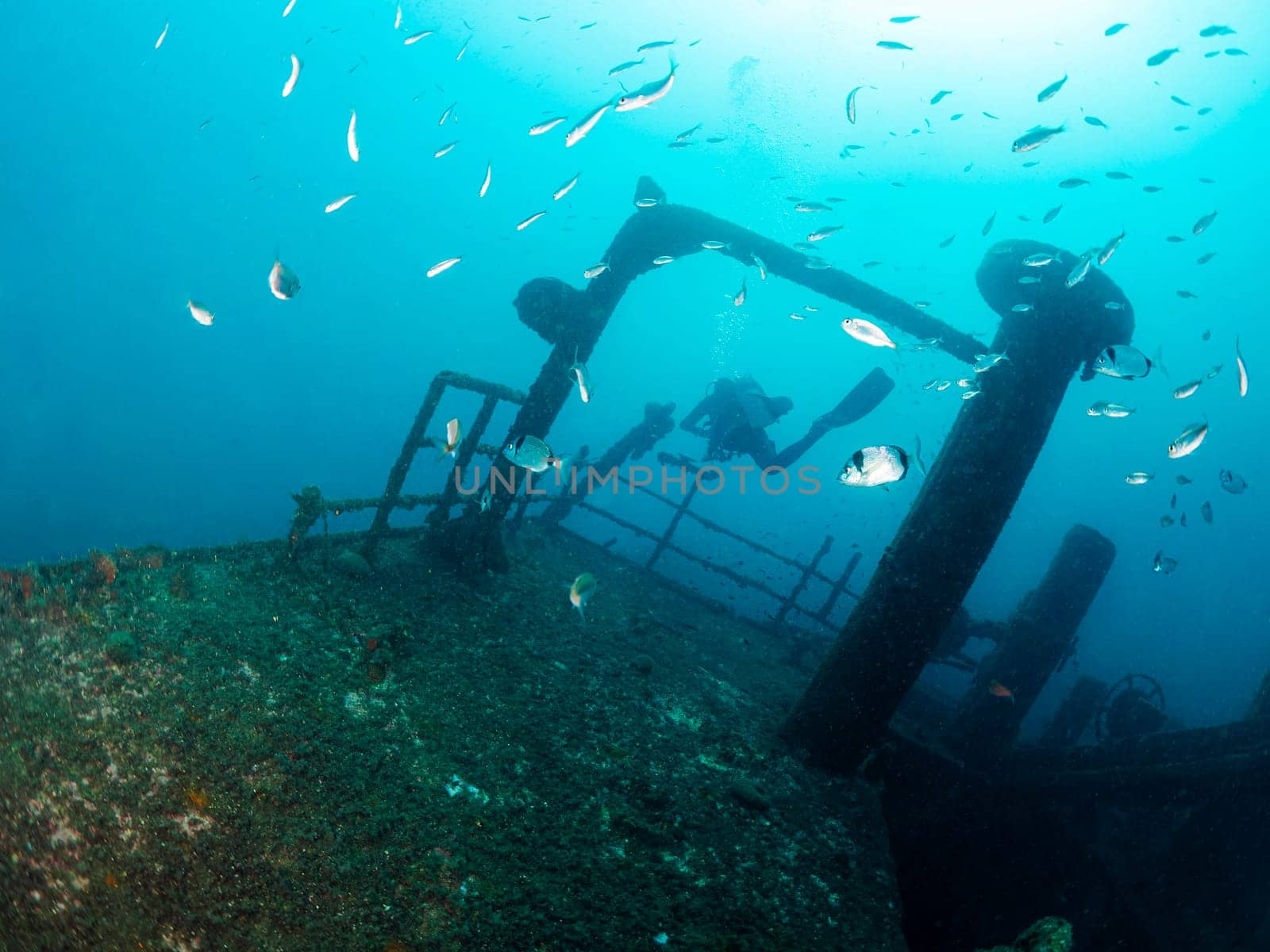 diver diving among fishes and the remains of a sunken ship in the ocean, concept of underwater adventure and active leisure lifestyle