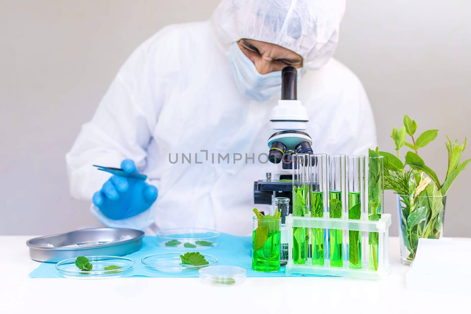 Research of plants in the laboratory. Selective focus. nature.