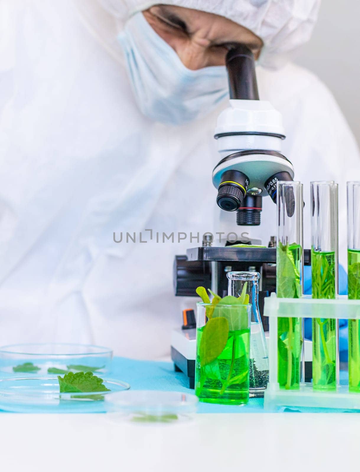 Research of plants in the laboratory. Selective focus. nature.