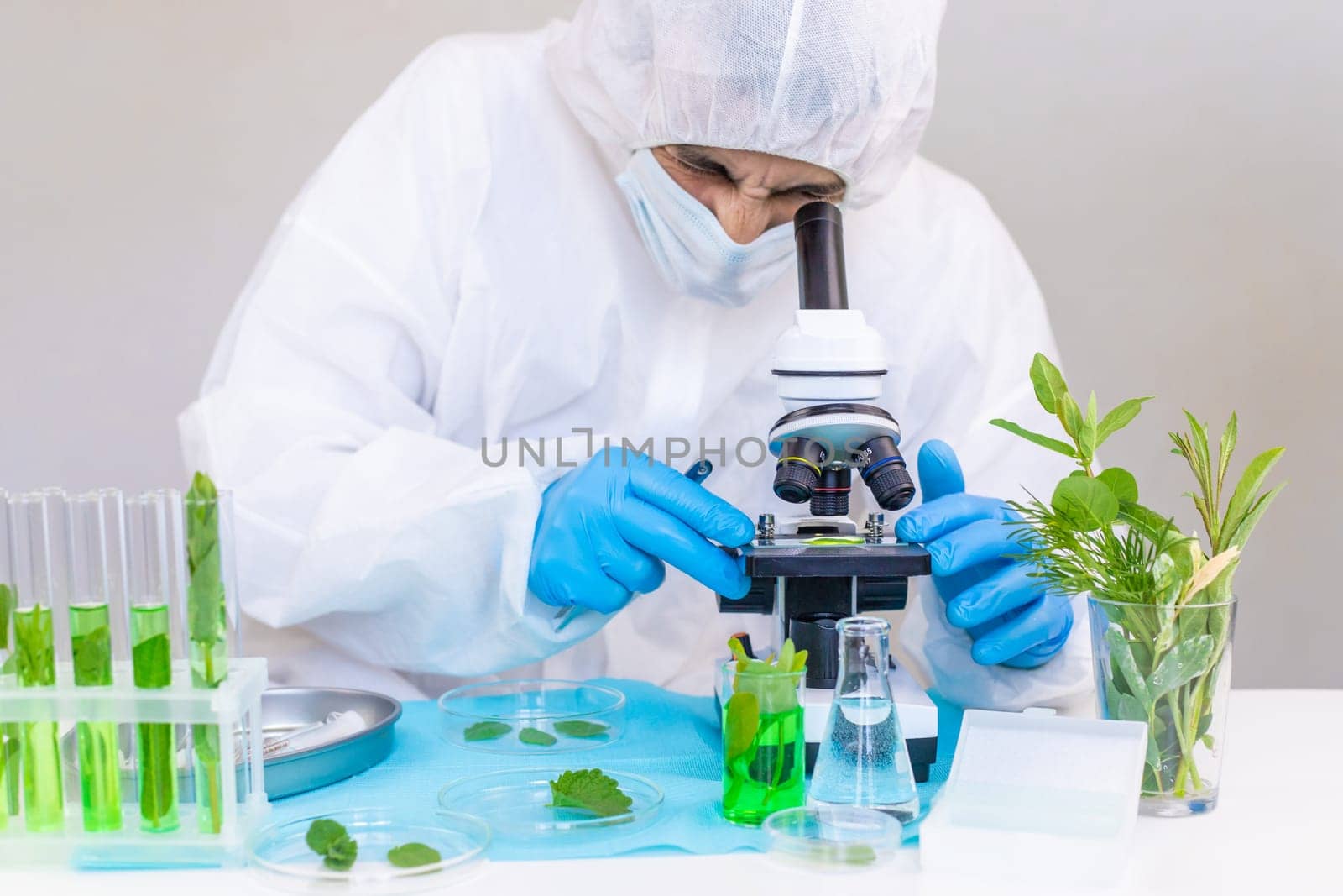 Research of plants in the laboratory. Selective focus. nature.