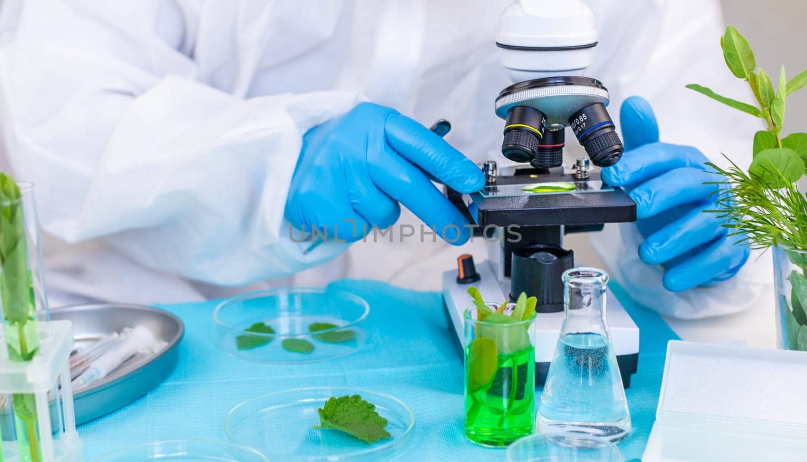Research of plants in the laboratory. Selective focus. nature.