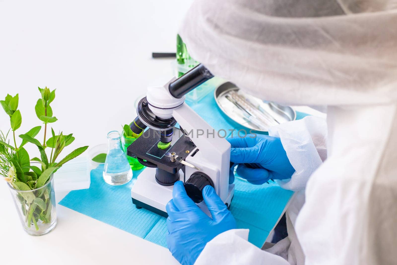 Research of plants in the laboratory. Selective focus. nature.