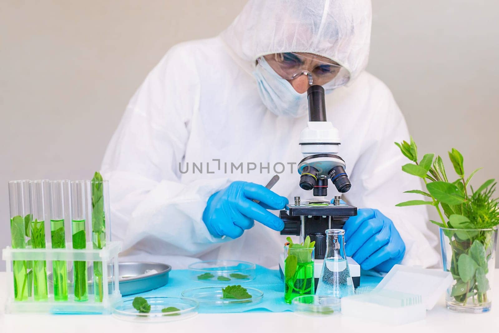 Research of plants in the laboratory. Selective focus. nature.