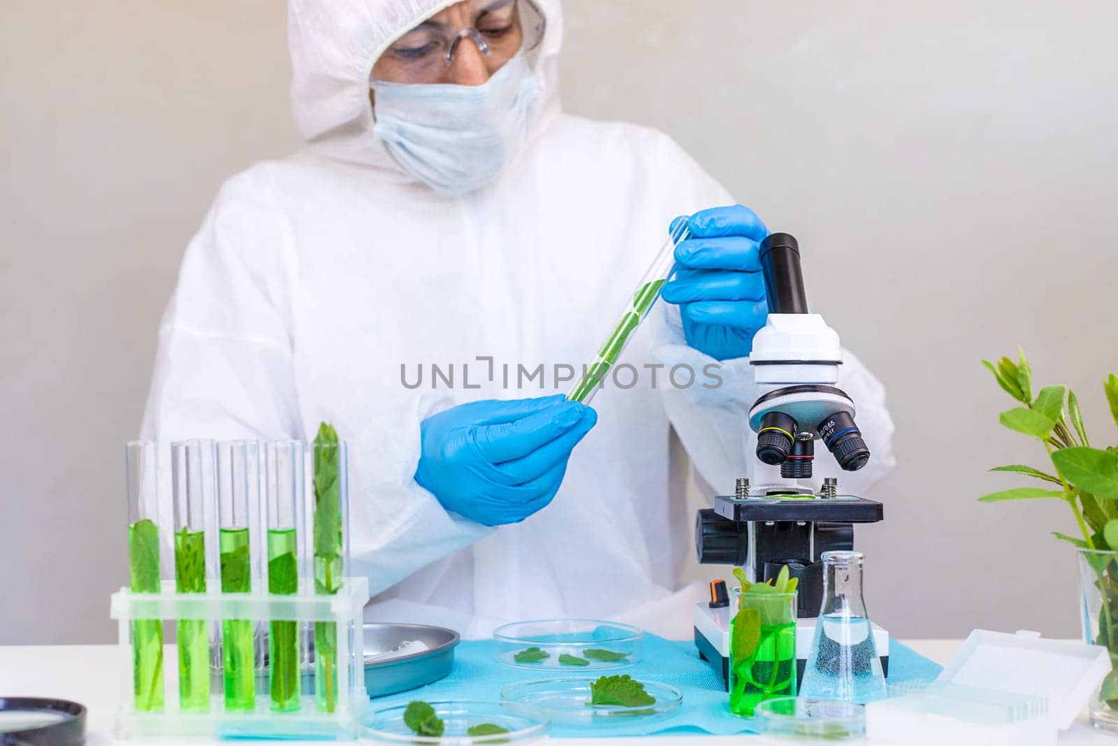 Research of plants in the laboratory. Selective focus. nature.
