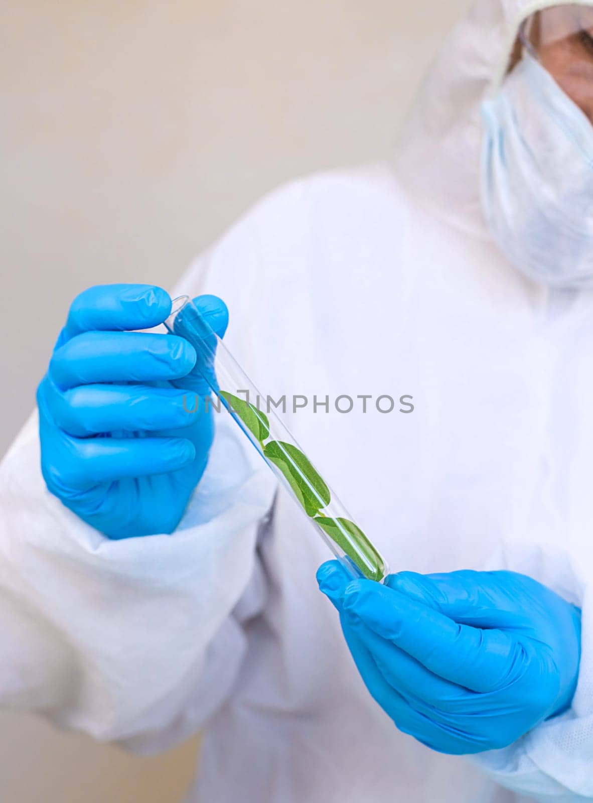 Research of plants in the laboratory. Selective focus. nature.