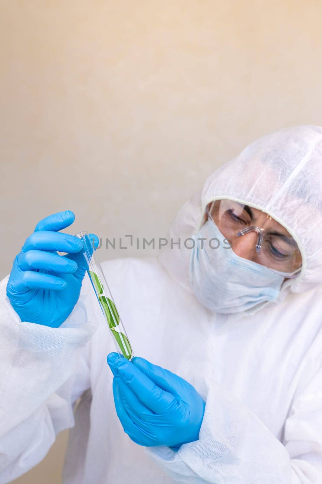 Research of plants in the laboratory. Selective focus. nature.