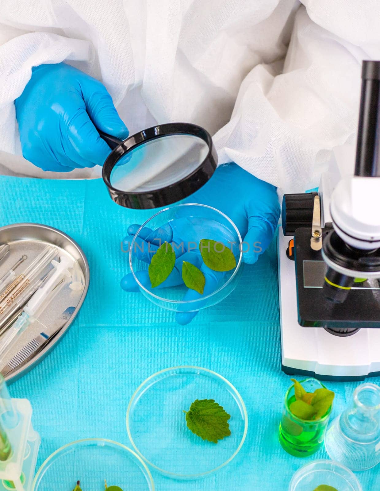 Research of plants in the laboratory. Selective focus. nature.