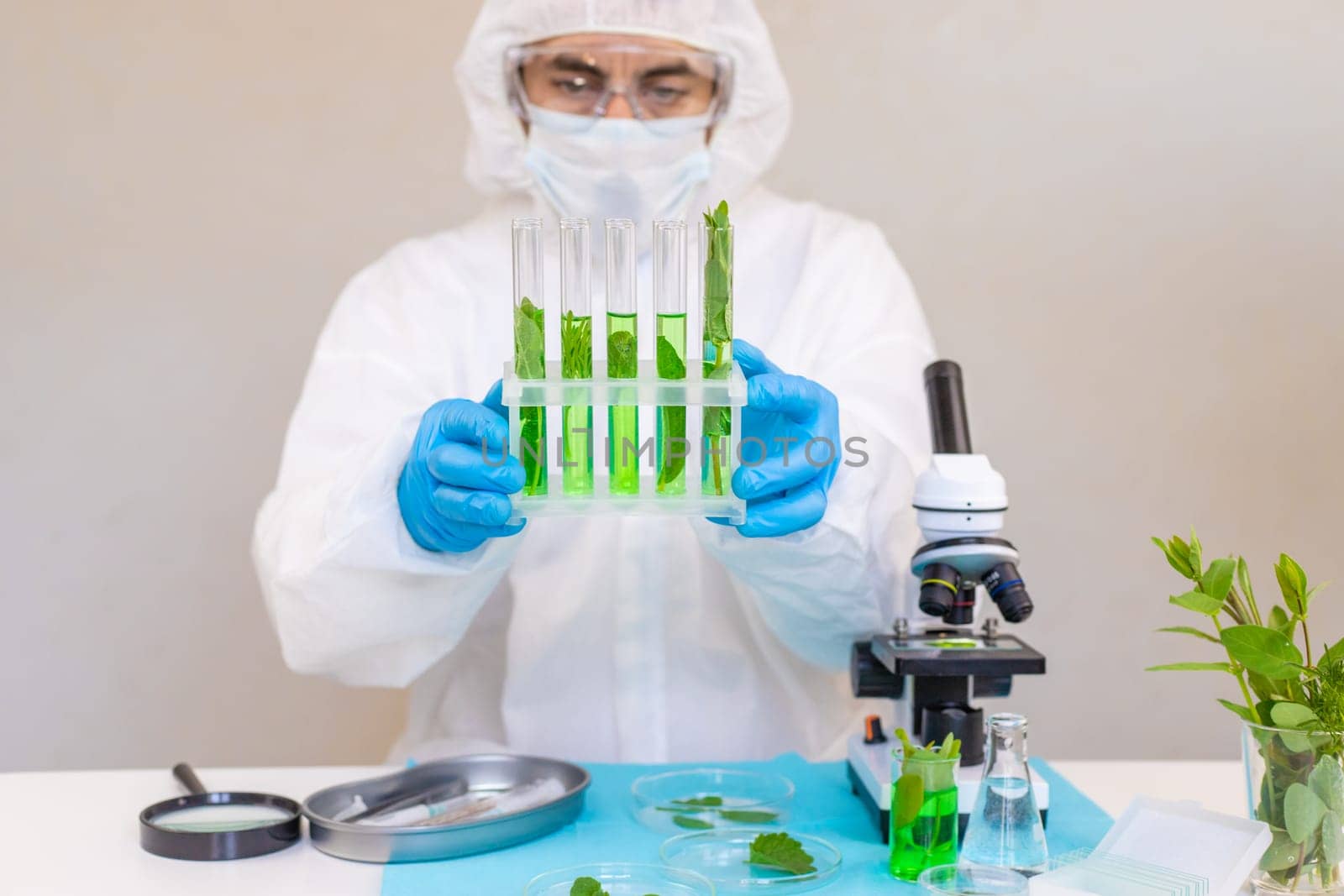 Research of plants in the laboratory. Selective focus. nature.