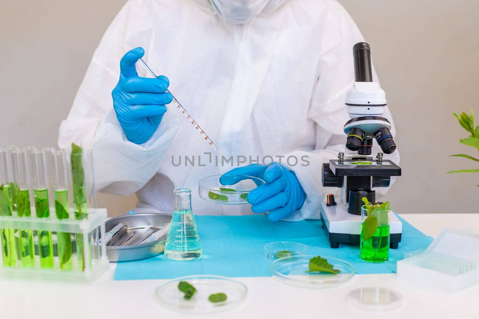 Research of plants in the laboratory. Selective focus. nature.