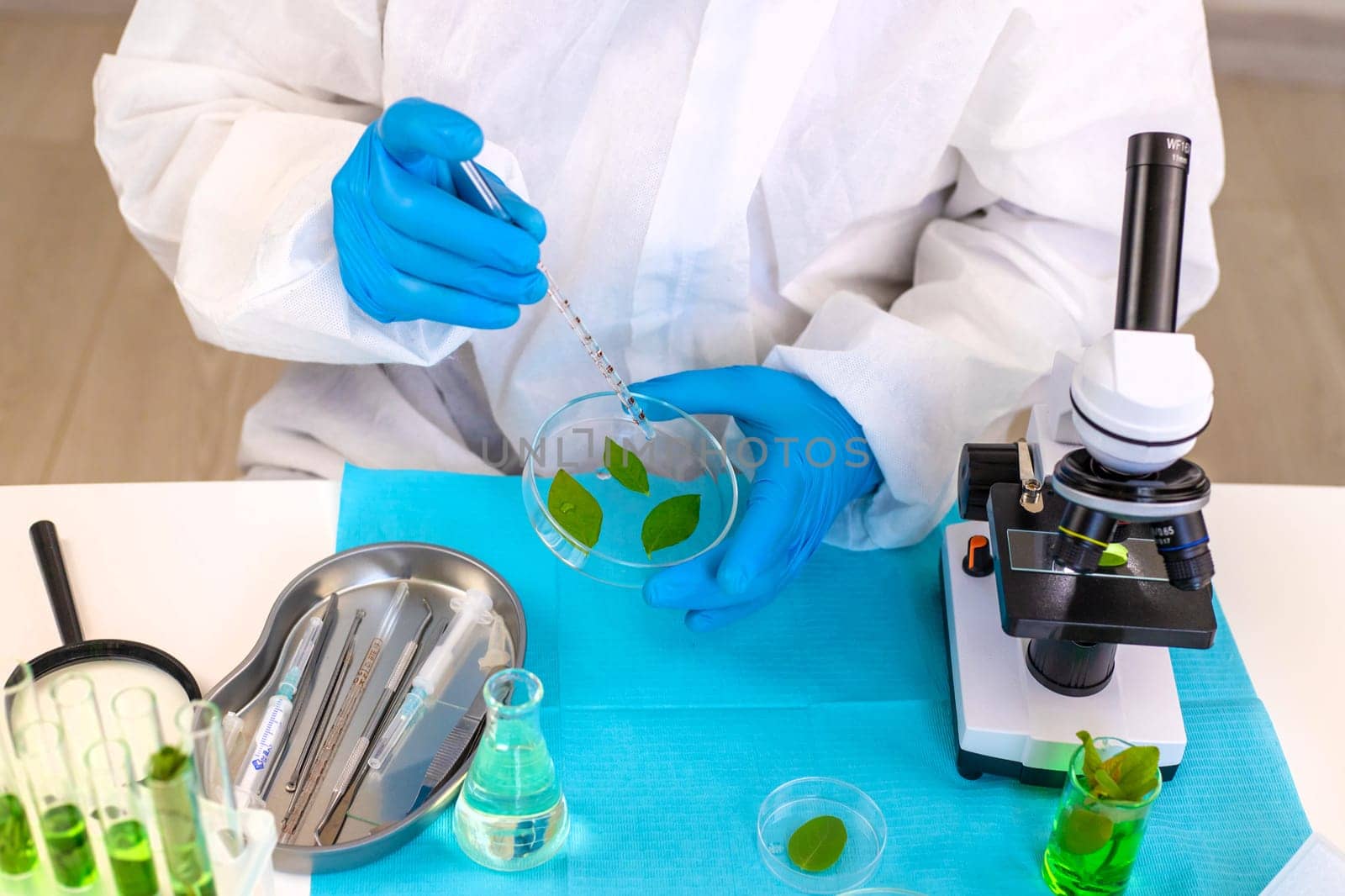 Research of plants in the laboratory. Selective focus. nature.