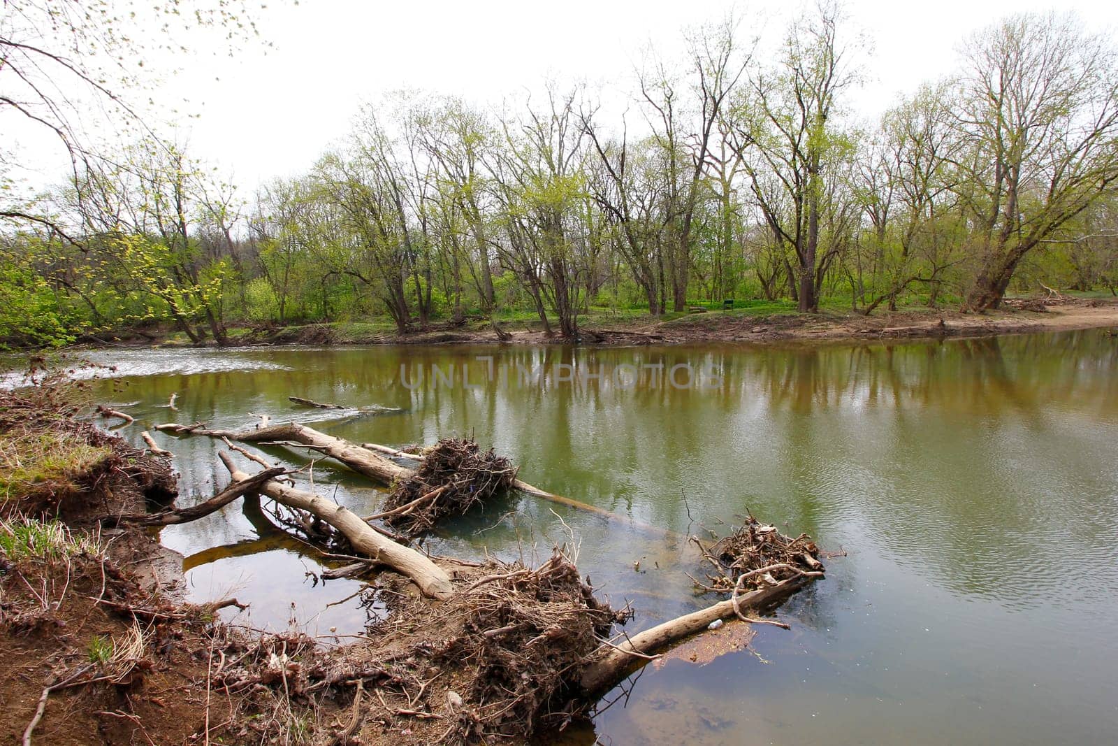 Views from the Bluebell Trail, Three Creeks Metro Park, Columbus, Ohio