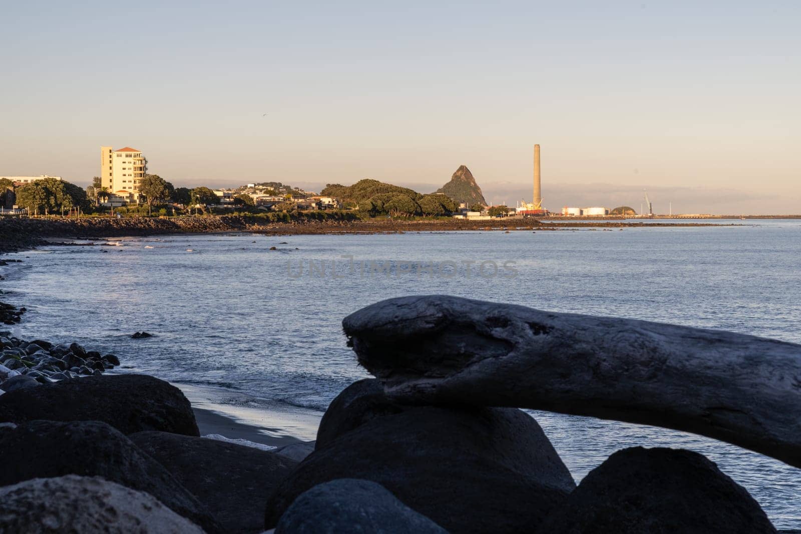 New Plymouth coastline view along Coastal Walkway beyond rocky foreshore and driftwood logs in foreground silhouette at sunrise looking down to port