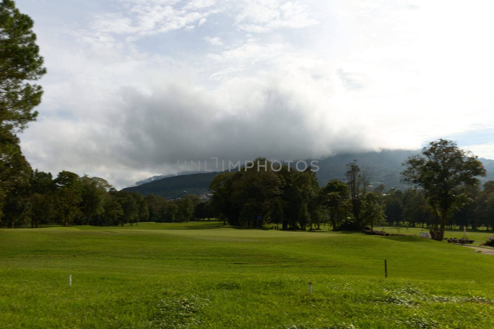 Expansive golf course terrain with vibrant green grass, majestic trees, rolling hills, and a cloudy sky, ideal for golfers and nature lovers seeking tranquility while enjoying outdoor sports