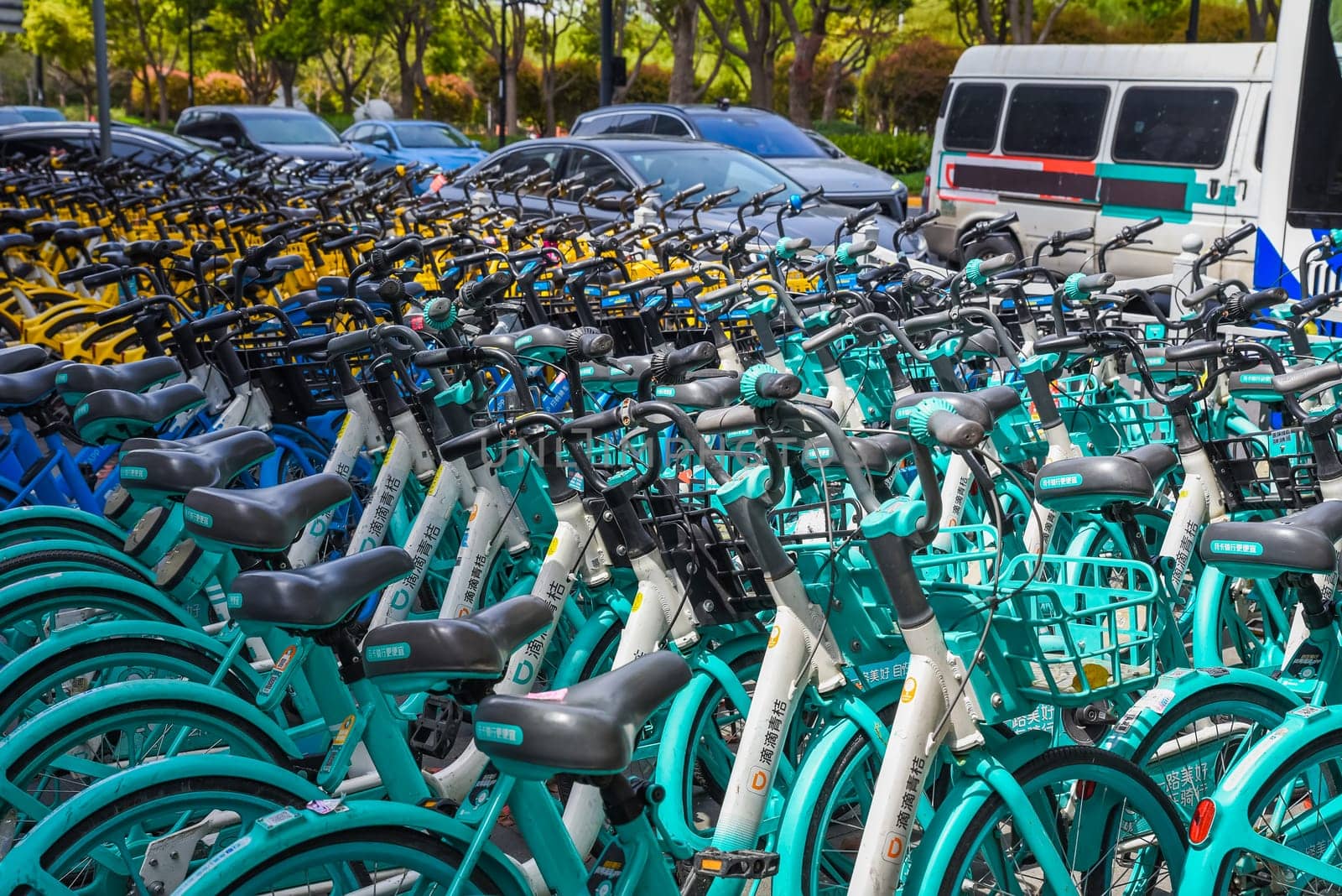 Shanghai, China - 1 April 2025: Blue rental bikes parked in urban area. Empty parking lot with cars visible. No people. Clear day