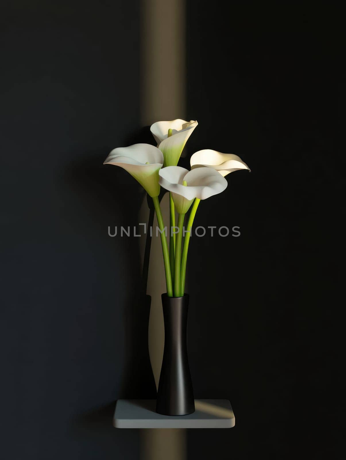 A bouquet of calla lilies sits gracefully in a modern black vase on a shelf. The dark wall enhances the soft white blooms, creating a striking visual contrast in the setting.