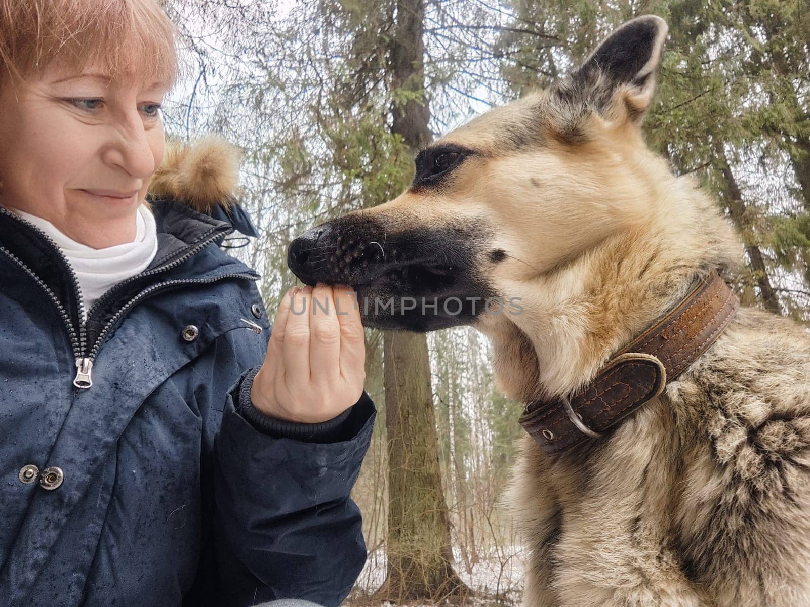 A woman shares a moment with a dog in a snowy forest, enjoying nature and companionship during her travel adventure.