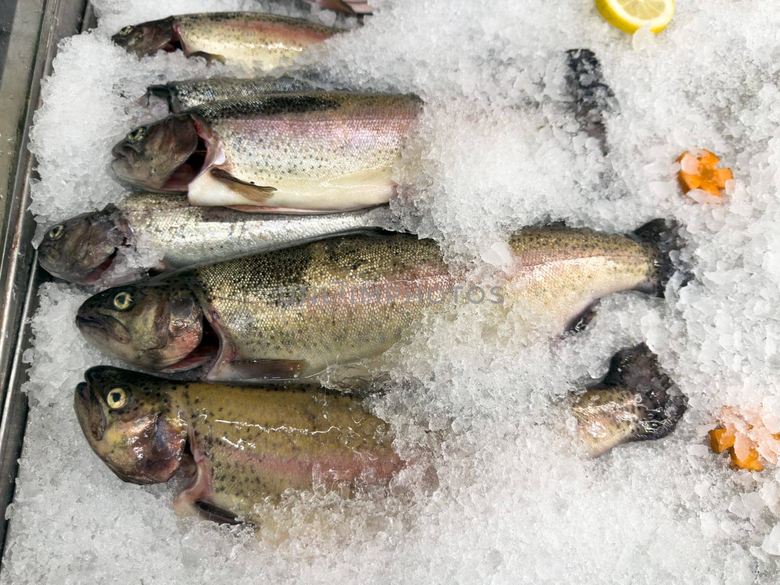 Organic rainbow trout arranged on ice at local fish market. Sustainable seafood option, ideal for themes of healthy eating, eco food sourcing, and traditional market displays