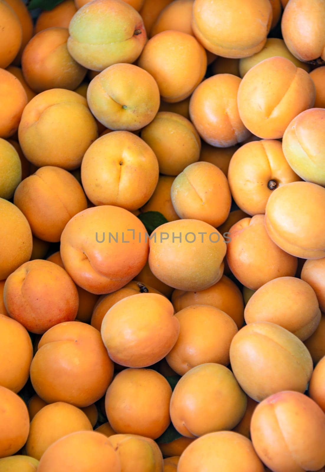 Fresh apricots for sale on farm stand in Okanagan valley.