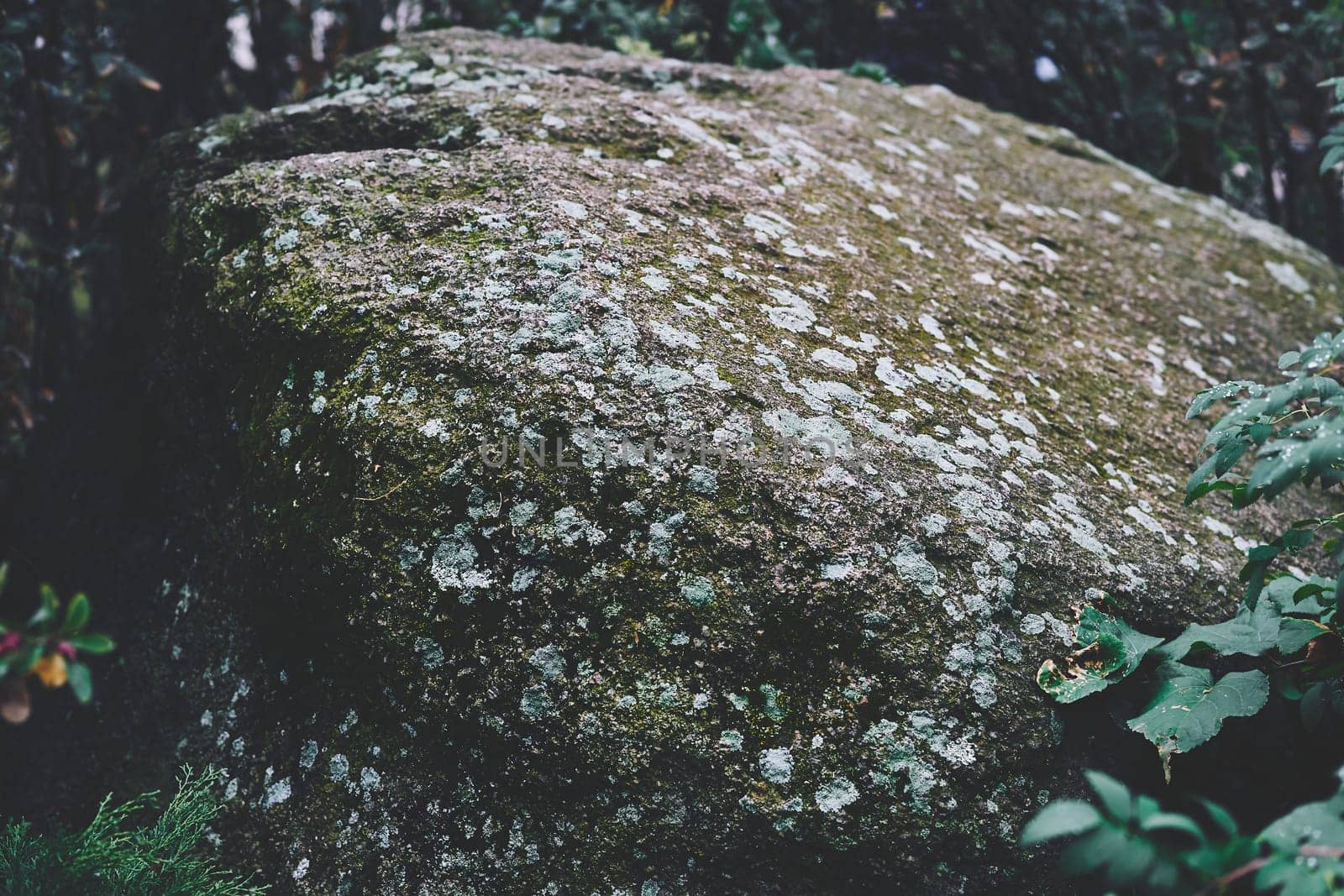 a very hard, granular, crystalline, igneous rock consisting mainly of quartz, mica, and feldspar and often used as a building stone
