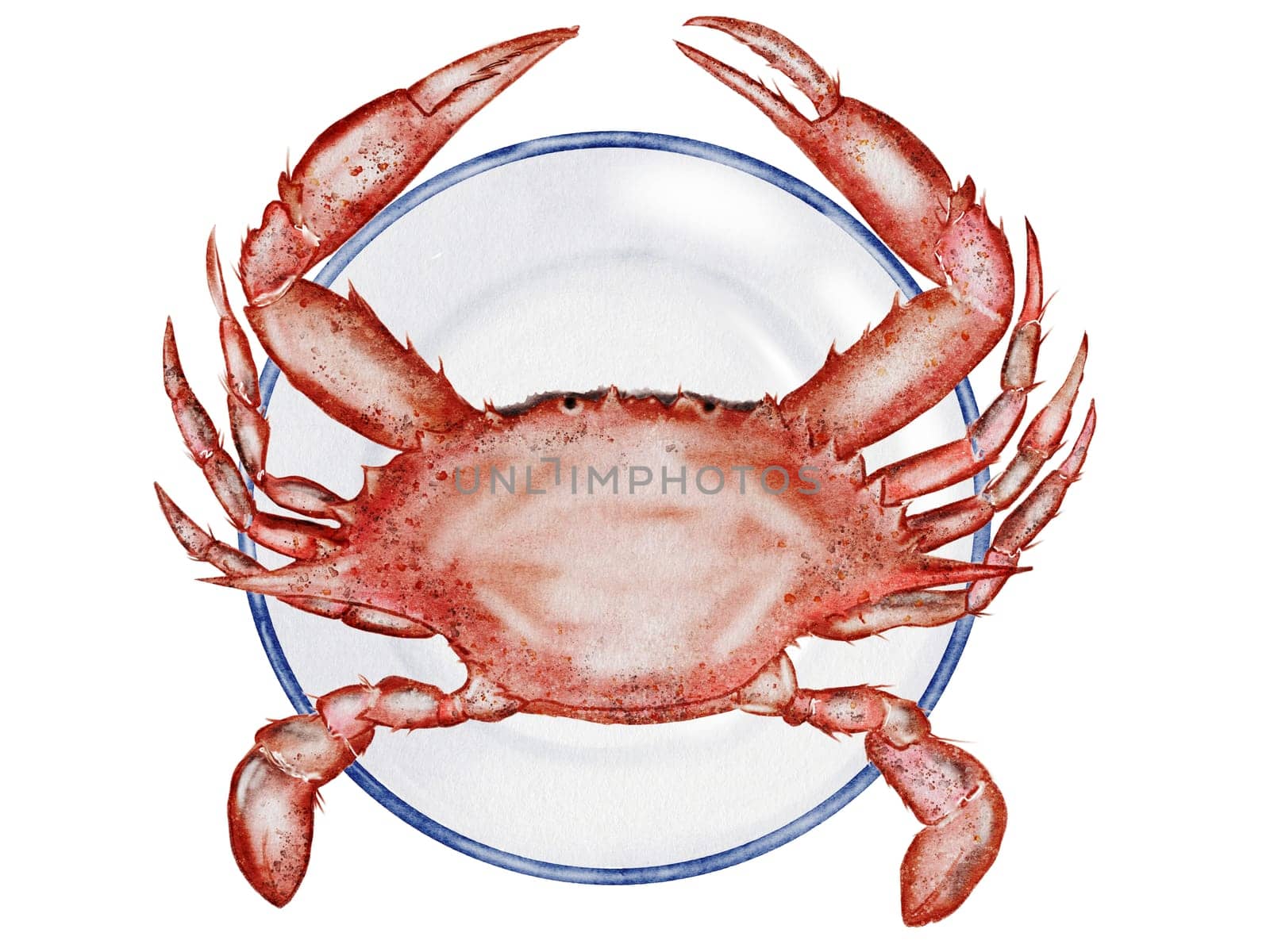 Crab watercolor. Hand drawn sea animal on a plate, on isolated white background. Clip art sea food. Ideal for restaurant menus, packaging, cards and logo of organic ocean product. High quality illustration