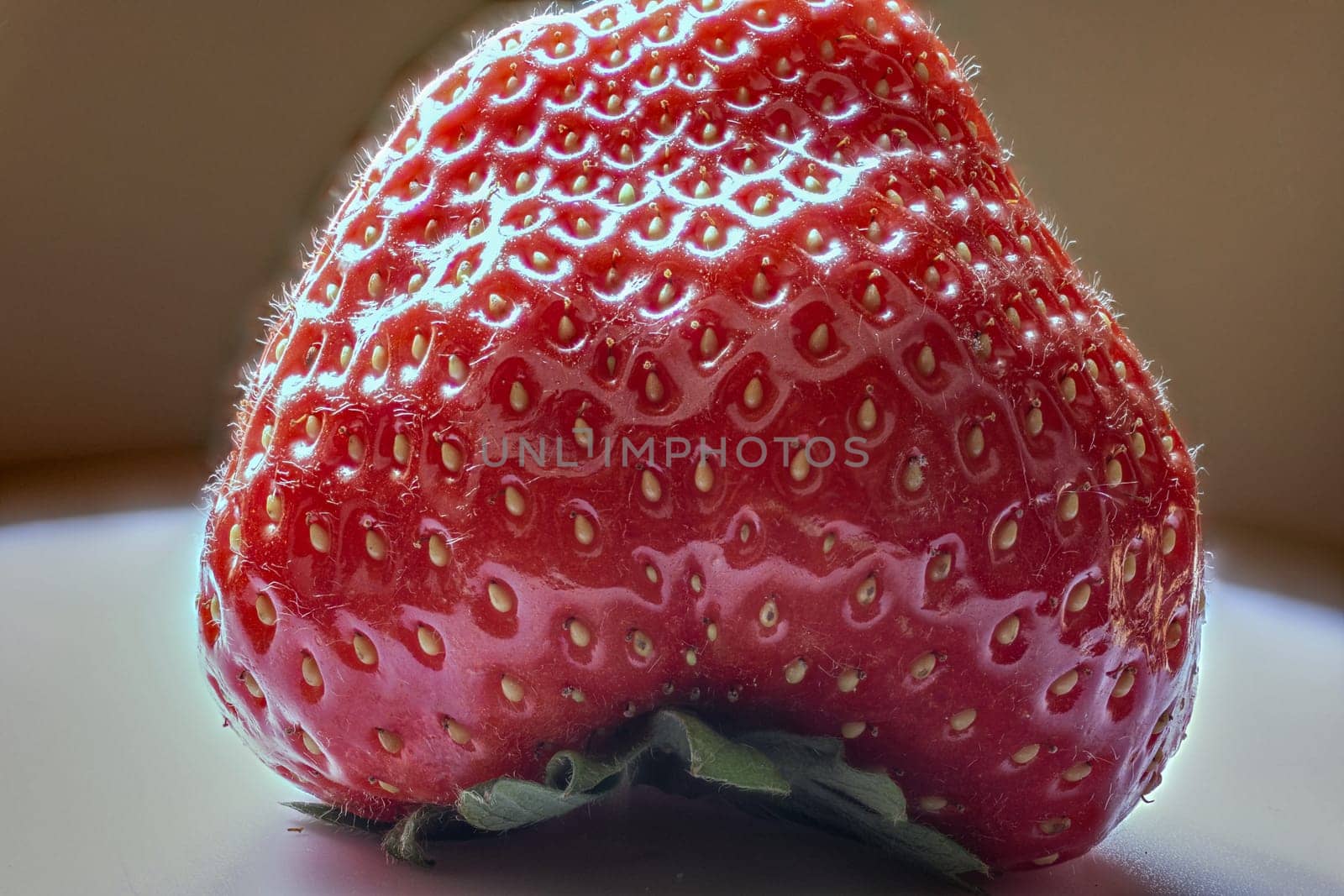 Wild strawberry with ripe fruit in close up