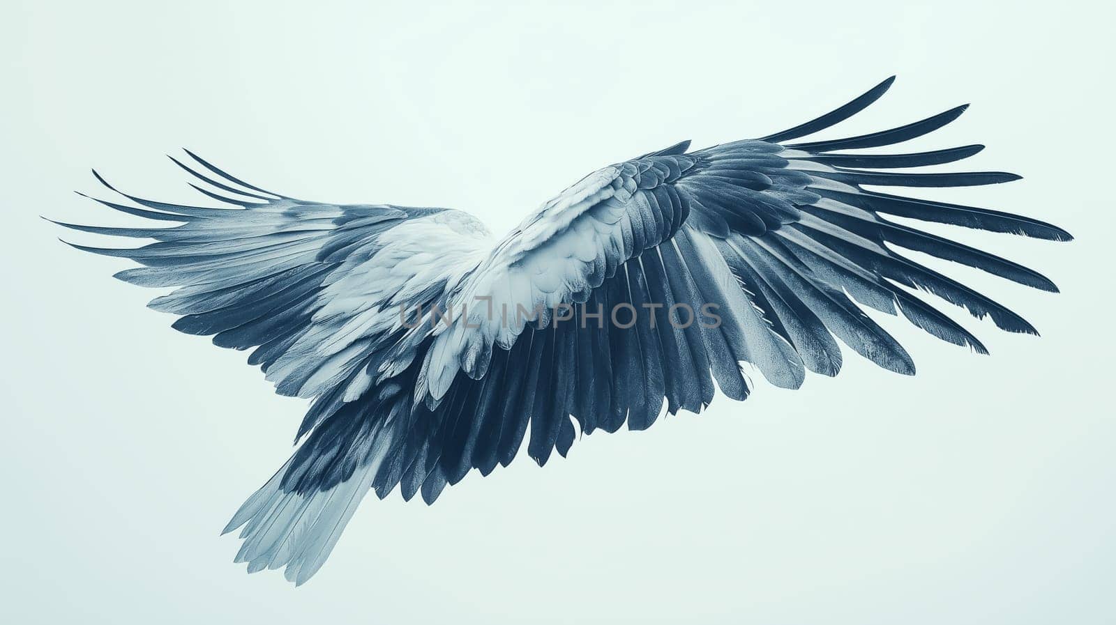 A bird displays its expansive wings while soaring through the sky. The scene captures the grace and strength of the wings against a light backdrop, emphasizing the beauty of nature.