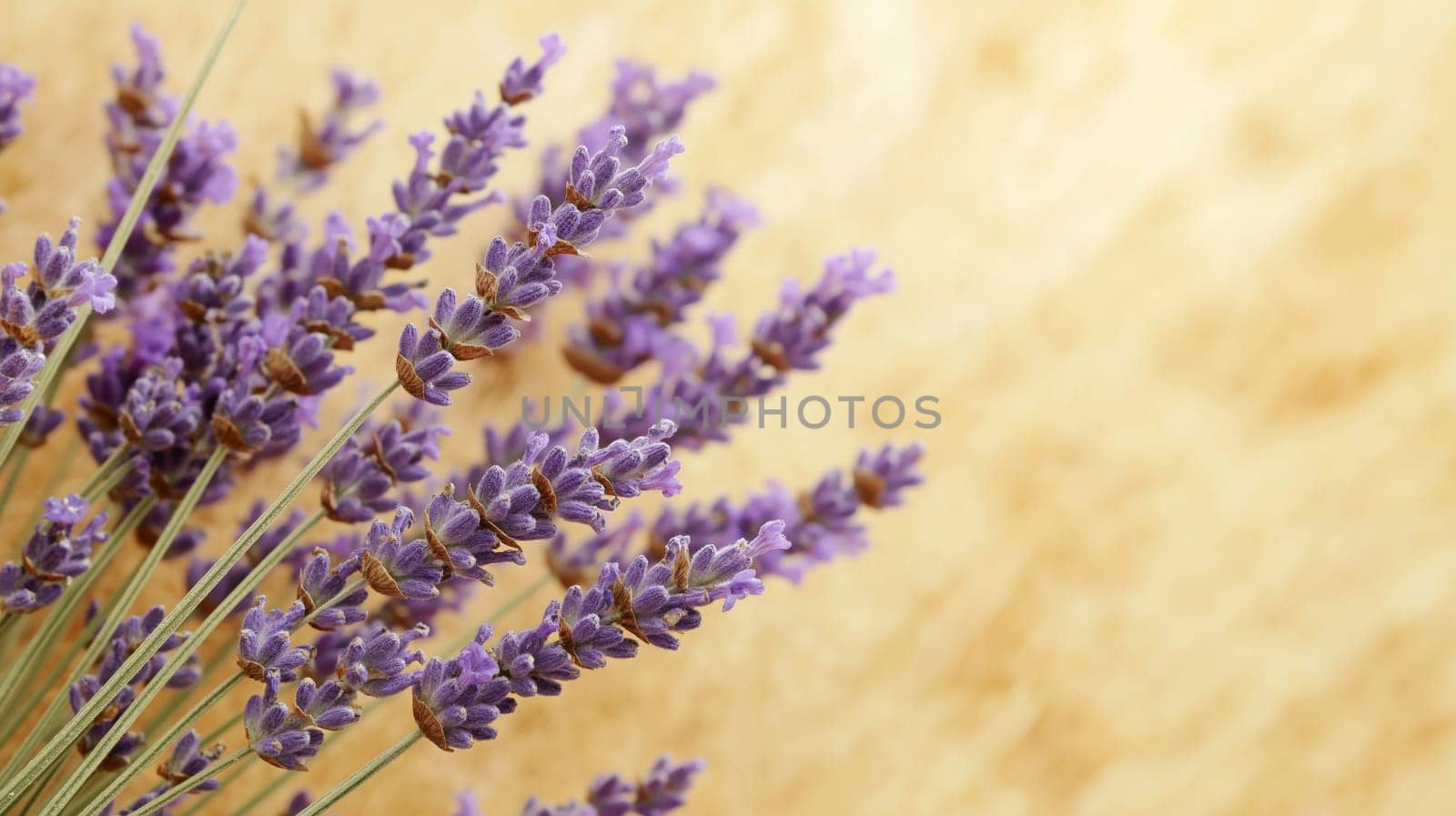 A close-up of lavender flowers displays rich purple blooms with delicate details. Vibrant colors stand out against a warm, neutral background, enhancing the beauty of the natural arrangement.