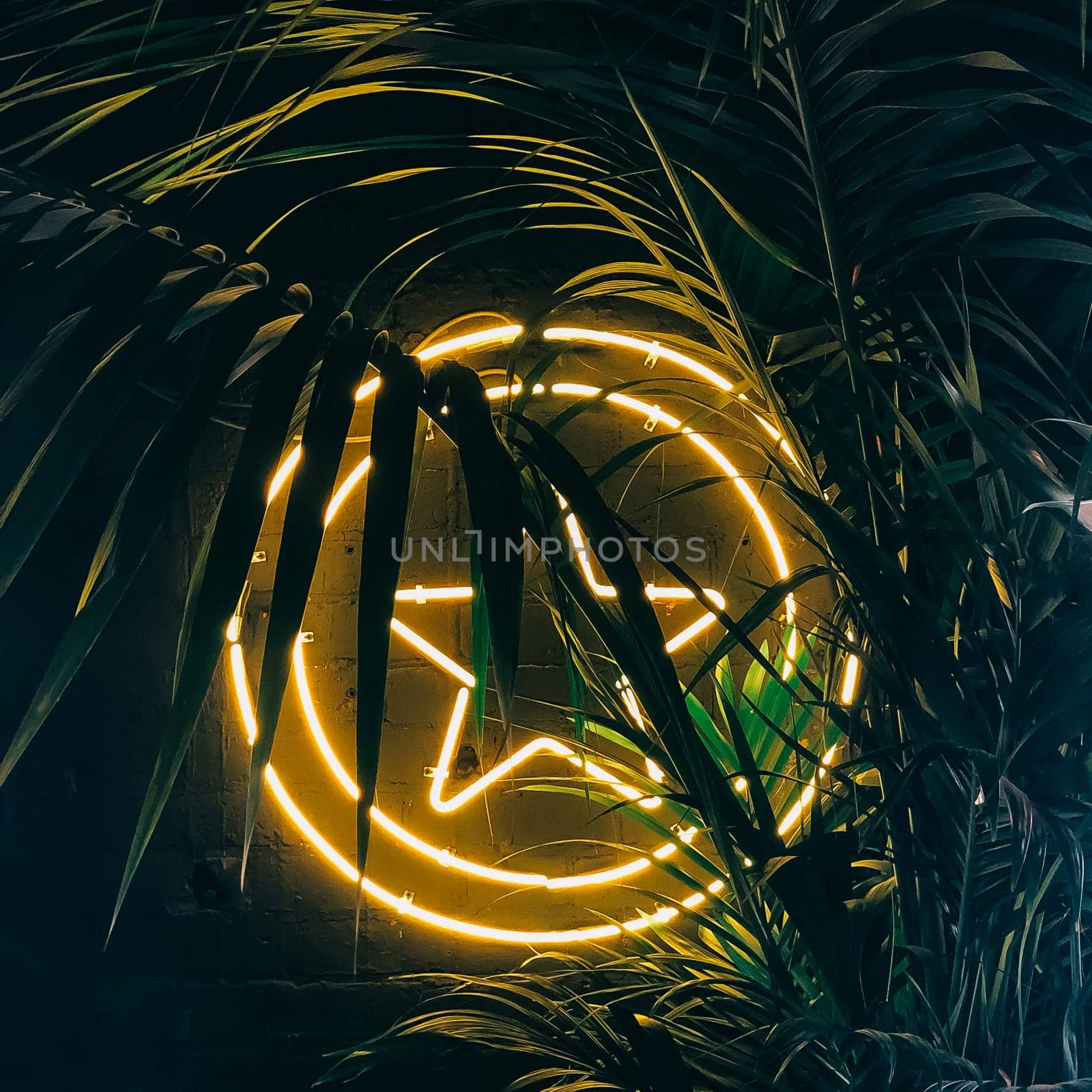 Neon peace sign glowing through tropical palm leaves, creating an ambient background, 