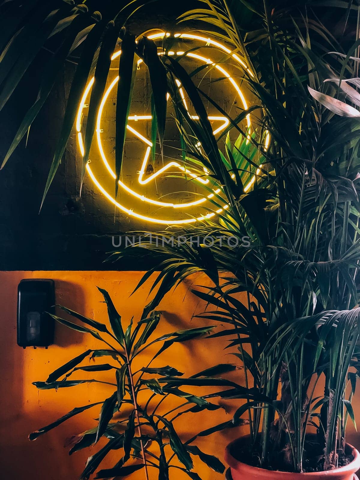 Neon star sign surrounded by tropical plants creating exotic ambient background, 