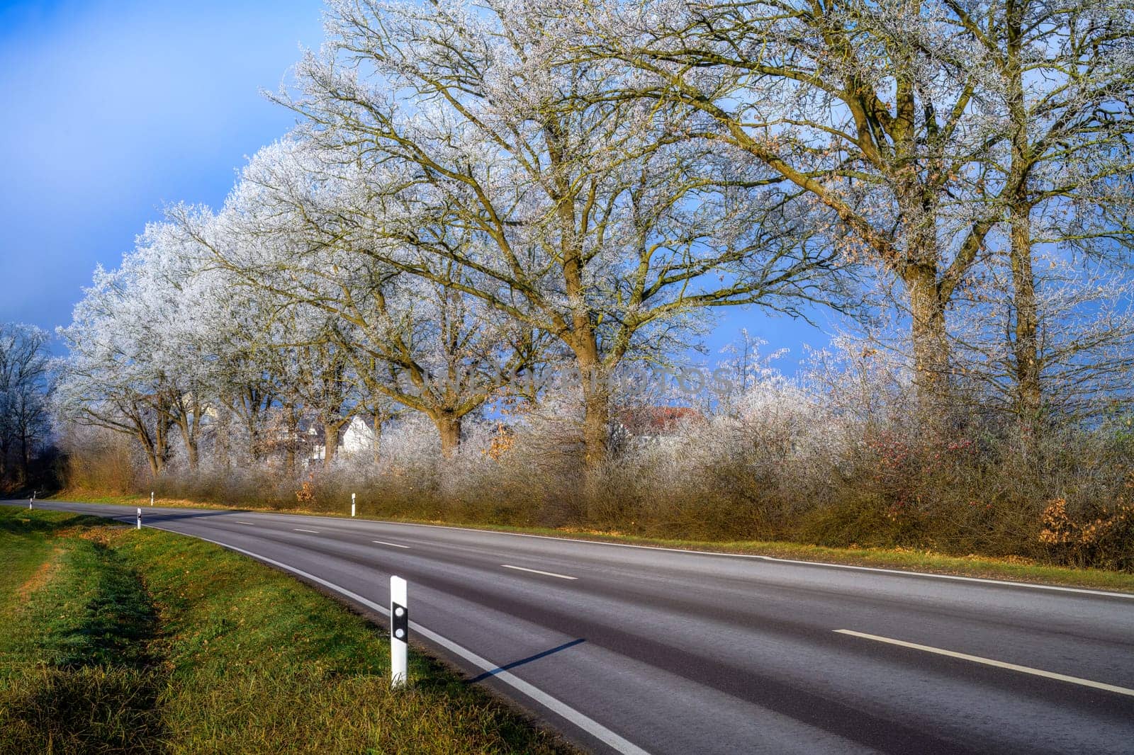 Winter landscape with a country road along trees covered with white frost seen in Schrobenhausen (Bavaria, Germany)
