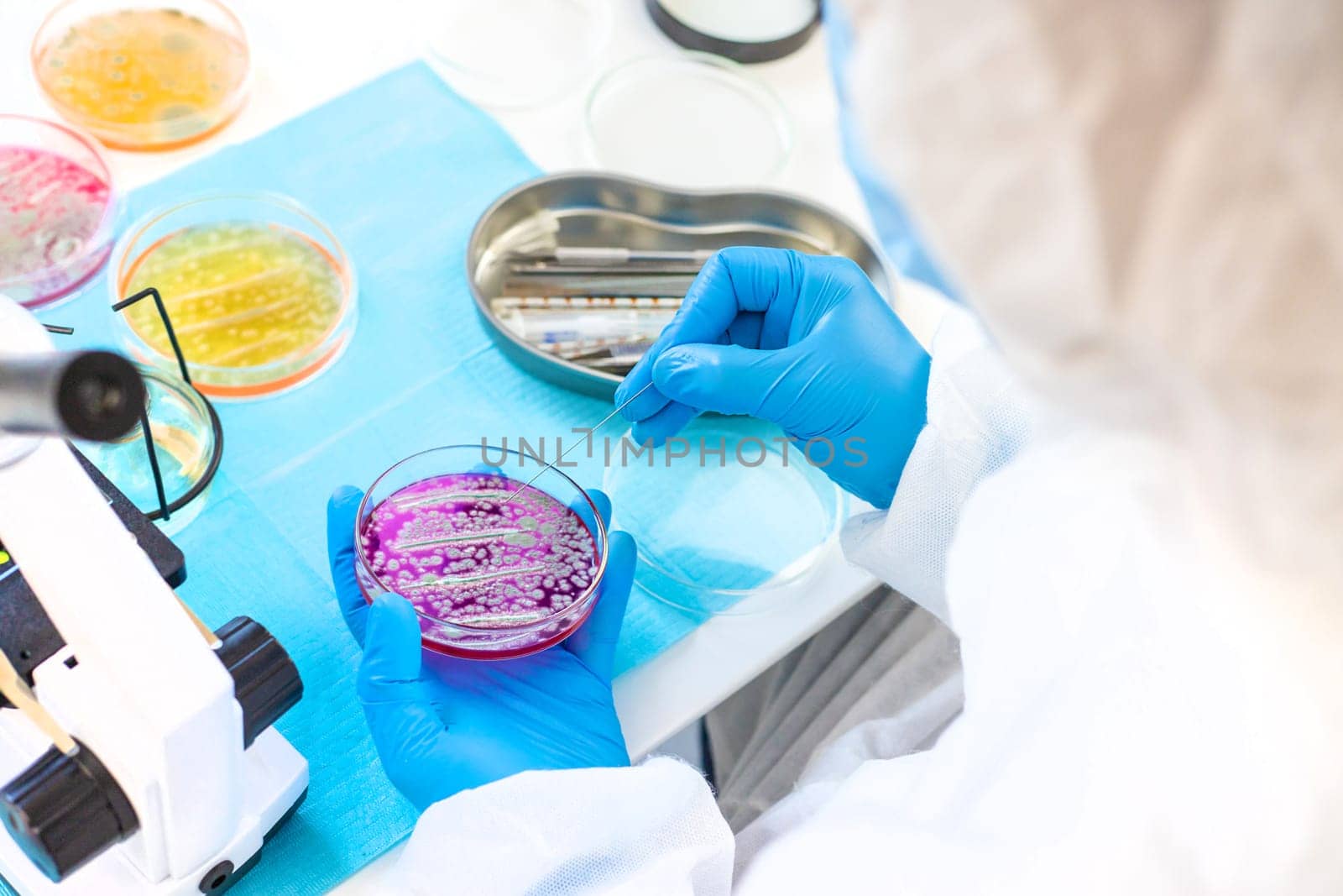 Examine bacteria in petri dishes in the laboratory. Selective focus. nature.
